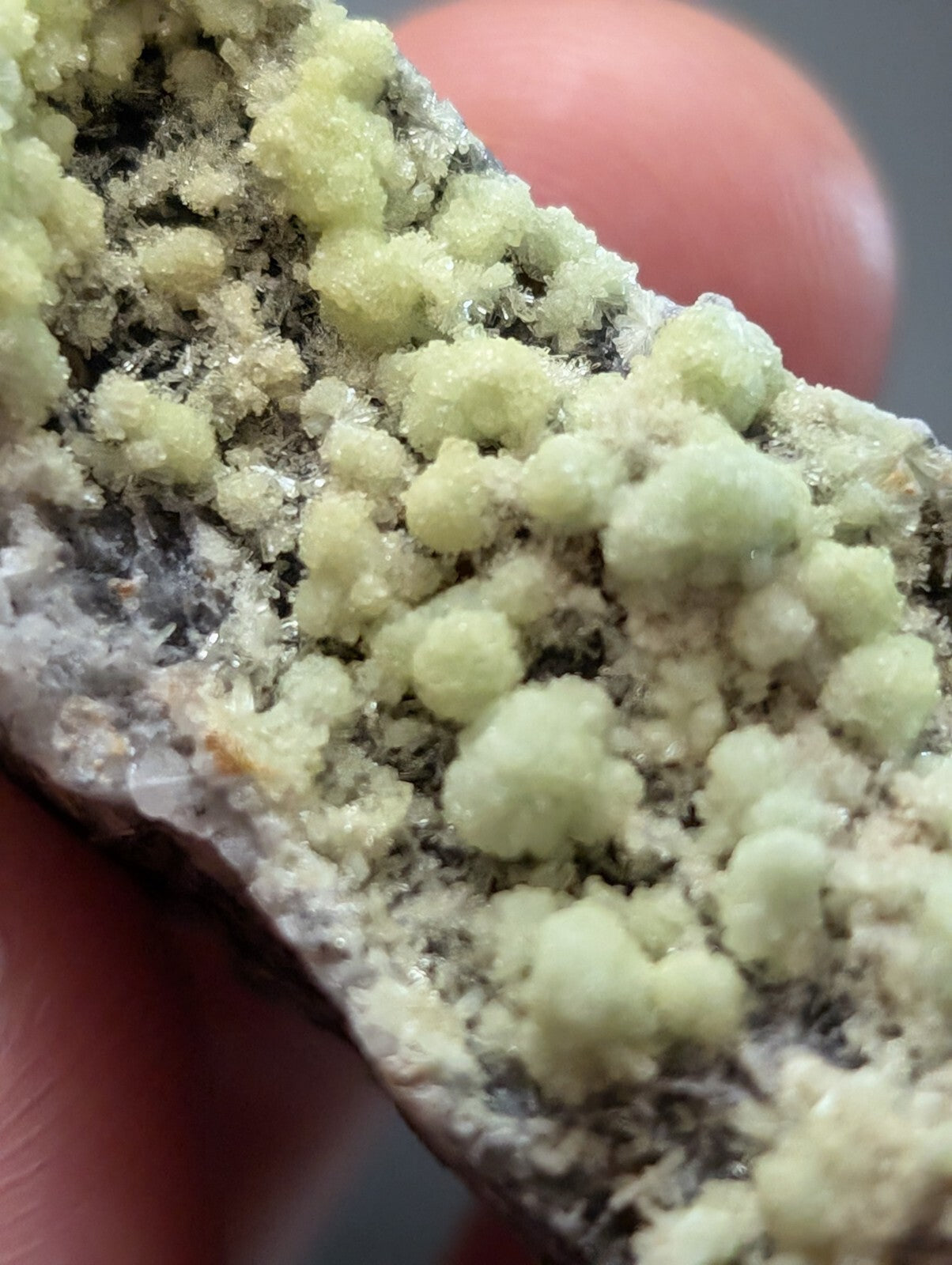 A cluster of pale green, crystalline mineral formations growing densely on a dark, textured rock matrix.