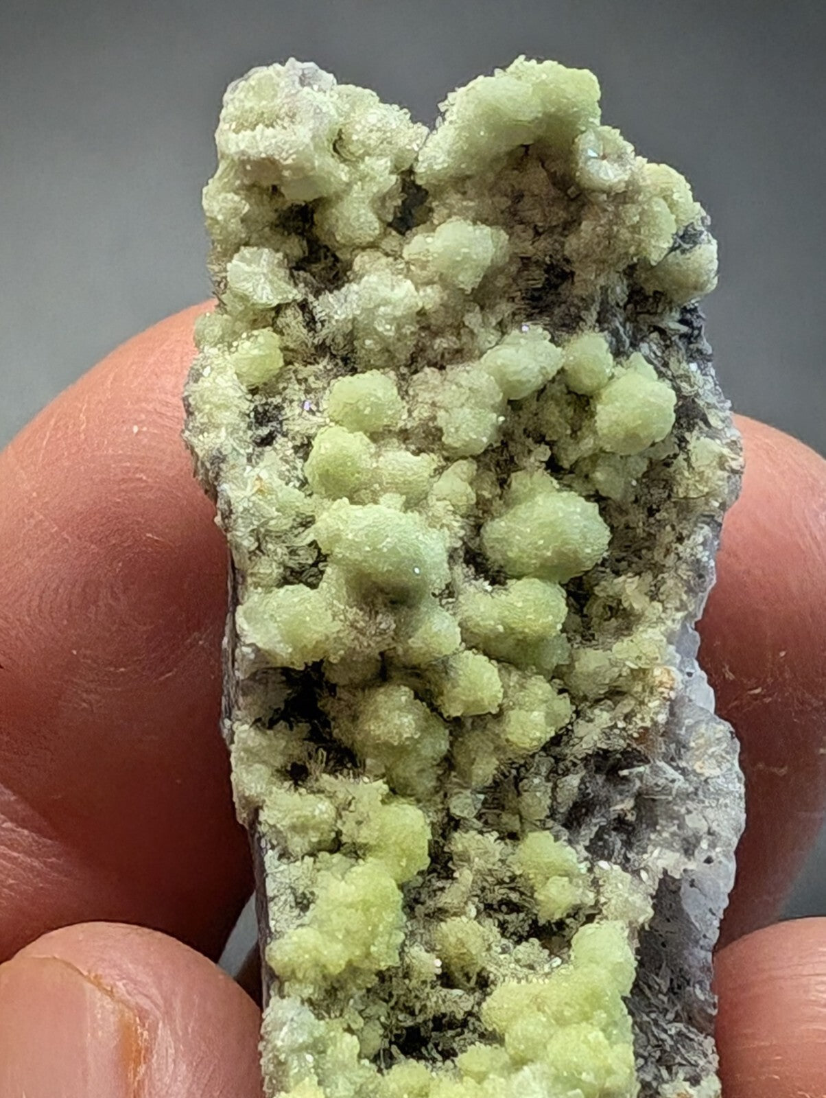 A pale green, crystalline mineral specimen with rounded, clustered formations growing from a darker gray rock matrix.