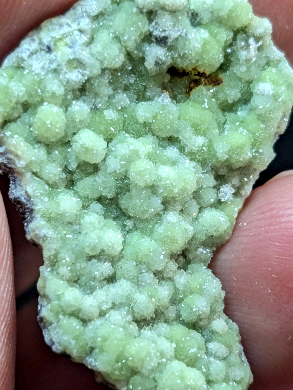 A pale green, crystalline mineral specimen with a textured surface of rounded, clustered crystals.