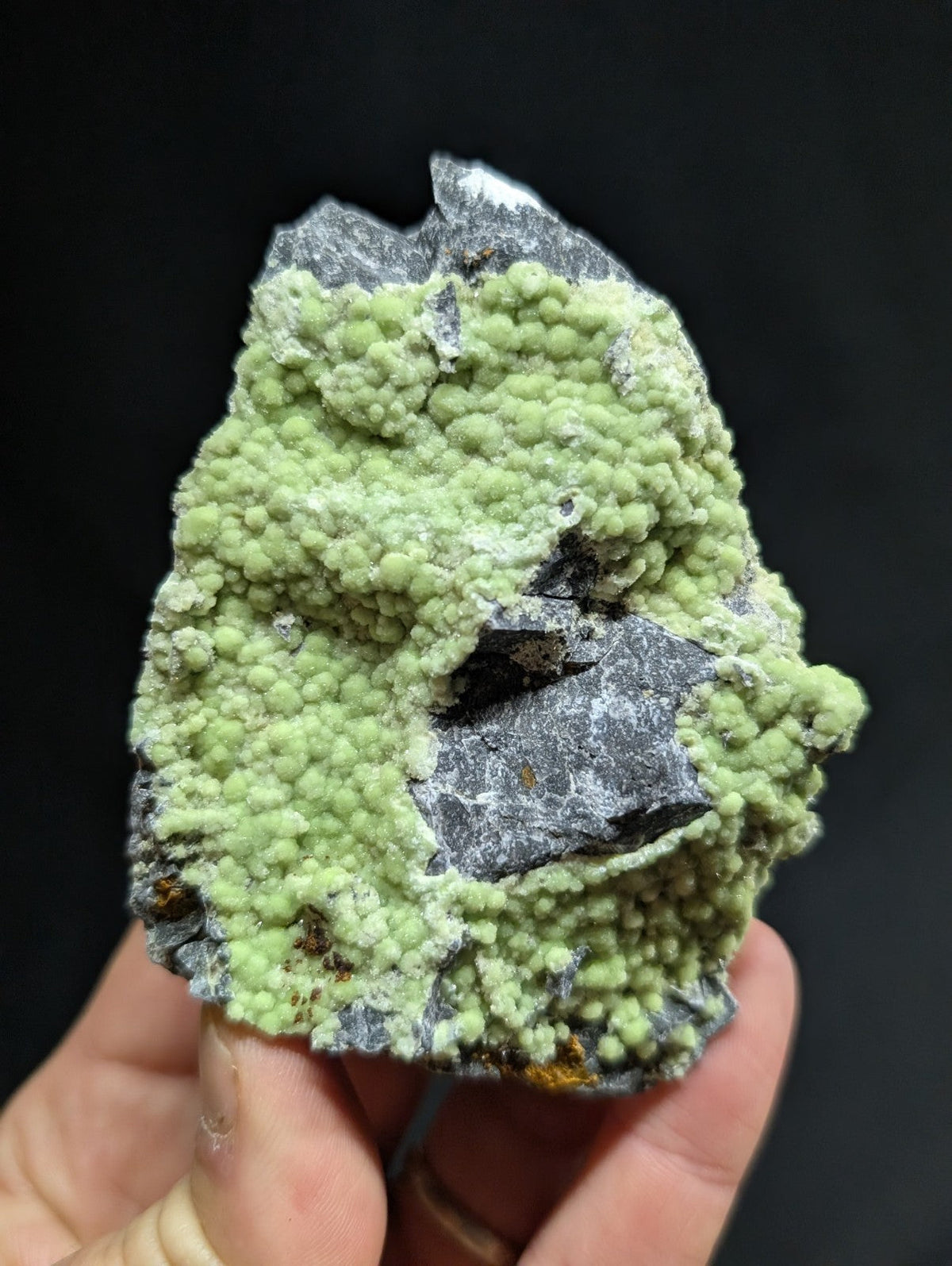 A hand holds a geological specimen featuring vibrant green, bumpy mineral formations overlying dark gray rock.