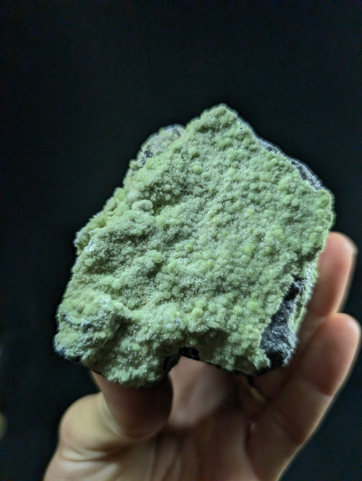 A hand holds a rough, irregularly shaped mineral specimen with a textured surface of light green crystalline formations over darker rock.
