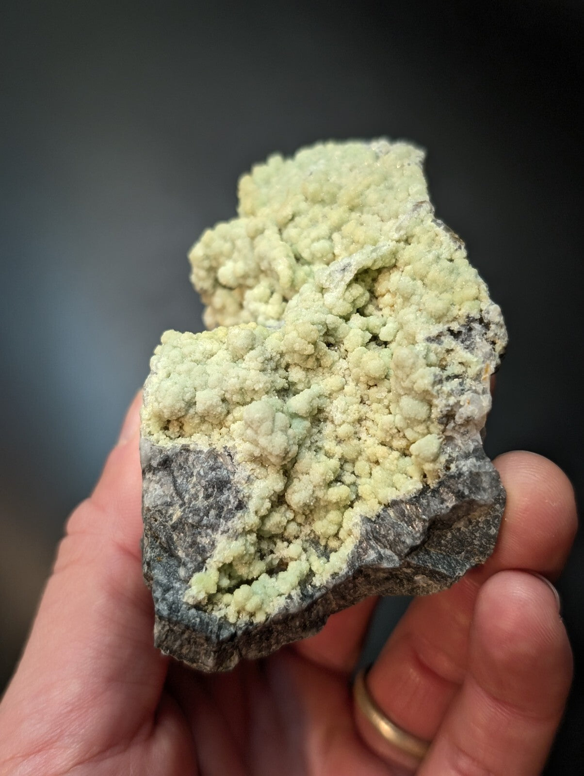 A hand holds a rough, dark gray rock specimen featuring vibrant pale green mineral crystals growing in dense clusters across its surface.