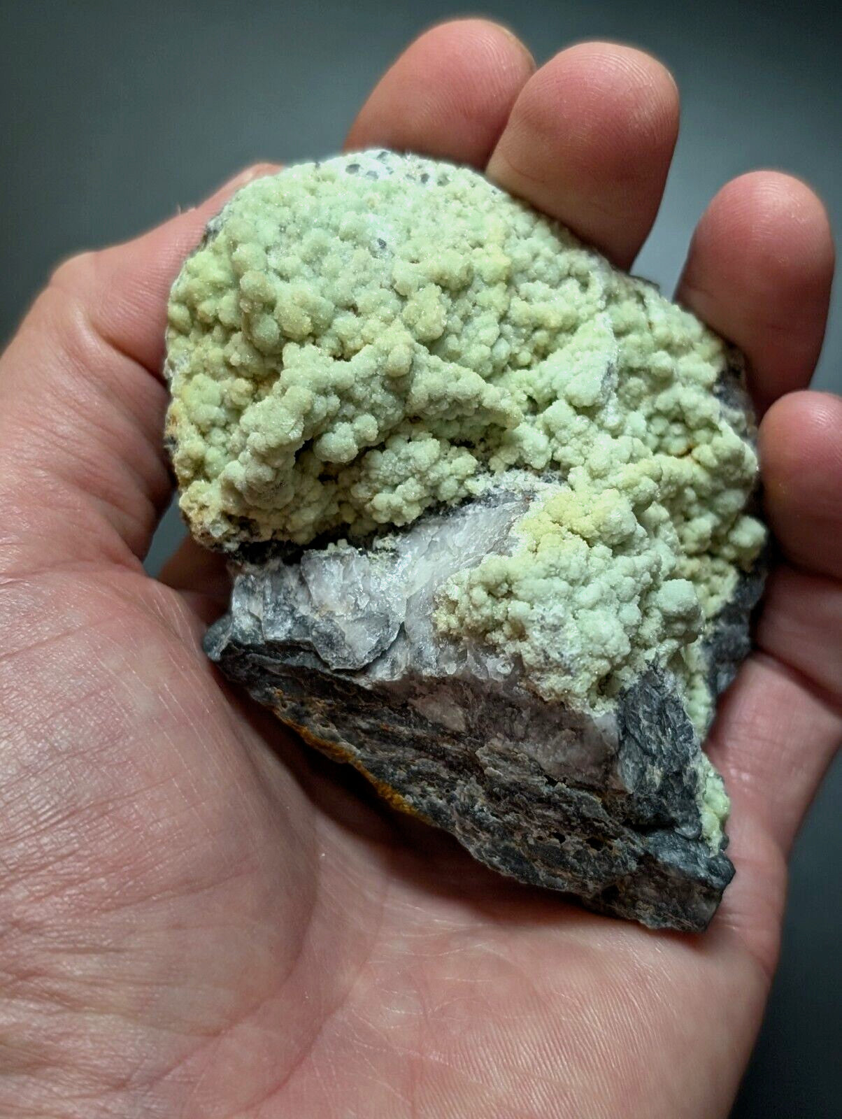 A hand holds a geological specimen featuring vibrant, light green crystalline formations atop a darker gray rock base.