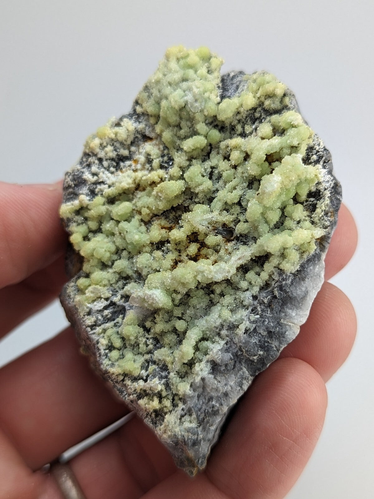A hand holds a dark gray rock specimen featuring clusters of vibrant, light green crystalline formations.