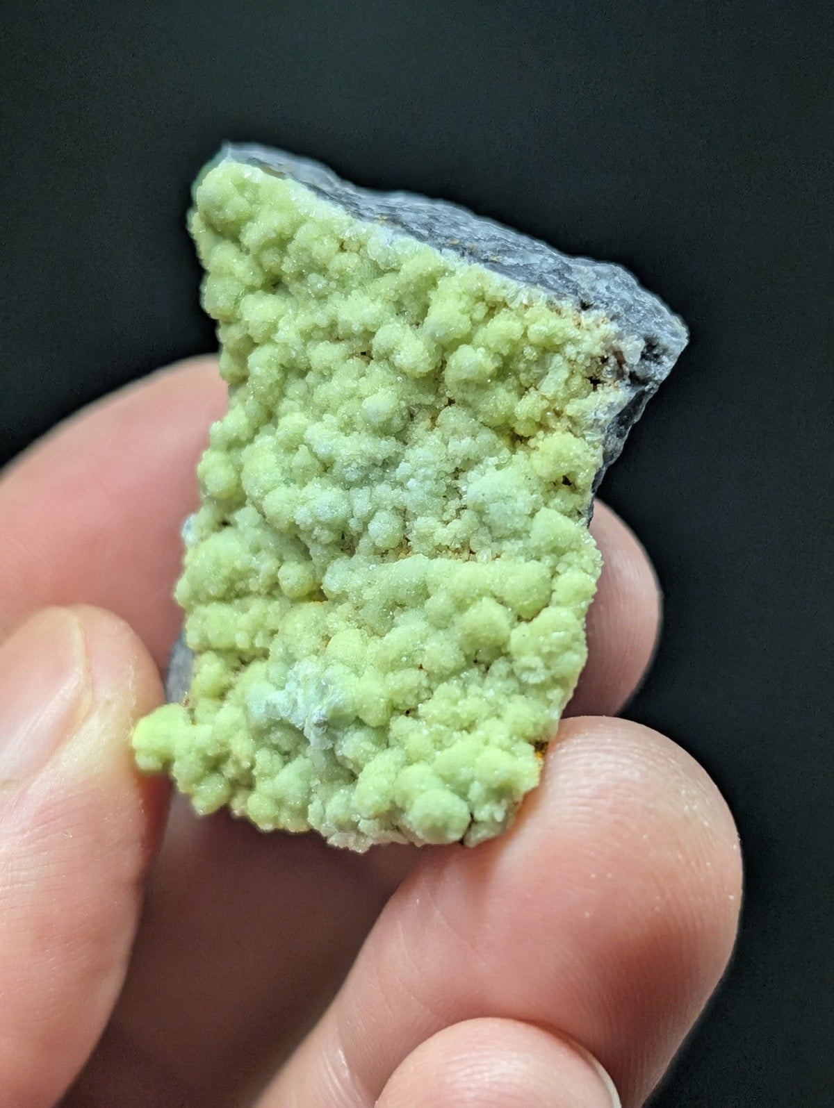 A hand holds a vibrant lime-green mineral specimen with a textured, bumpy surface and a grayish rock matrix.