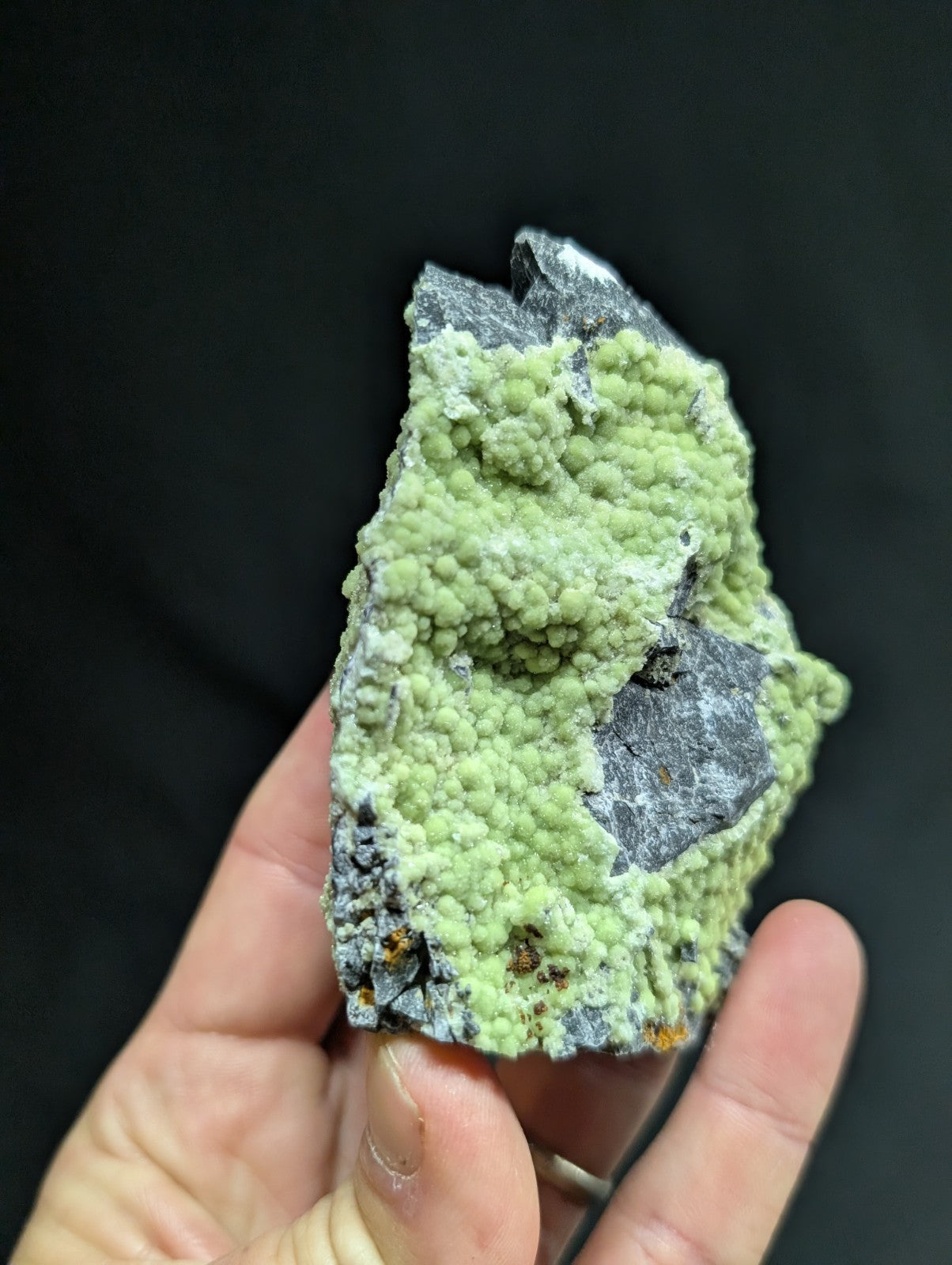 A hand holds a geological specimen featuring vibrant lime-green, bumpy mineral formations growing over dark gray rock.