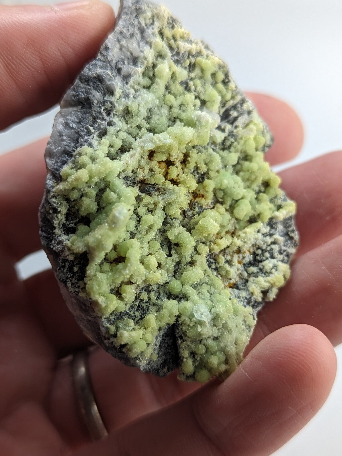 A hand holds a dark gray rock specimen featuring vibrant, lime-green crystalline formations.