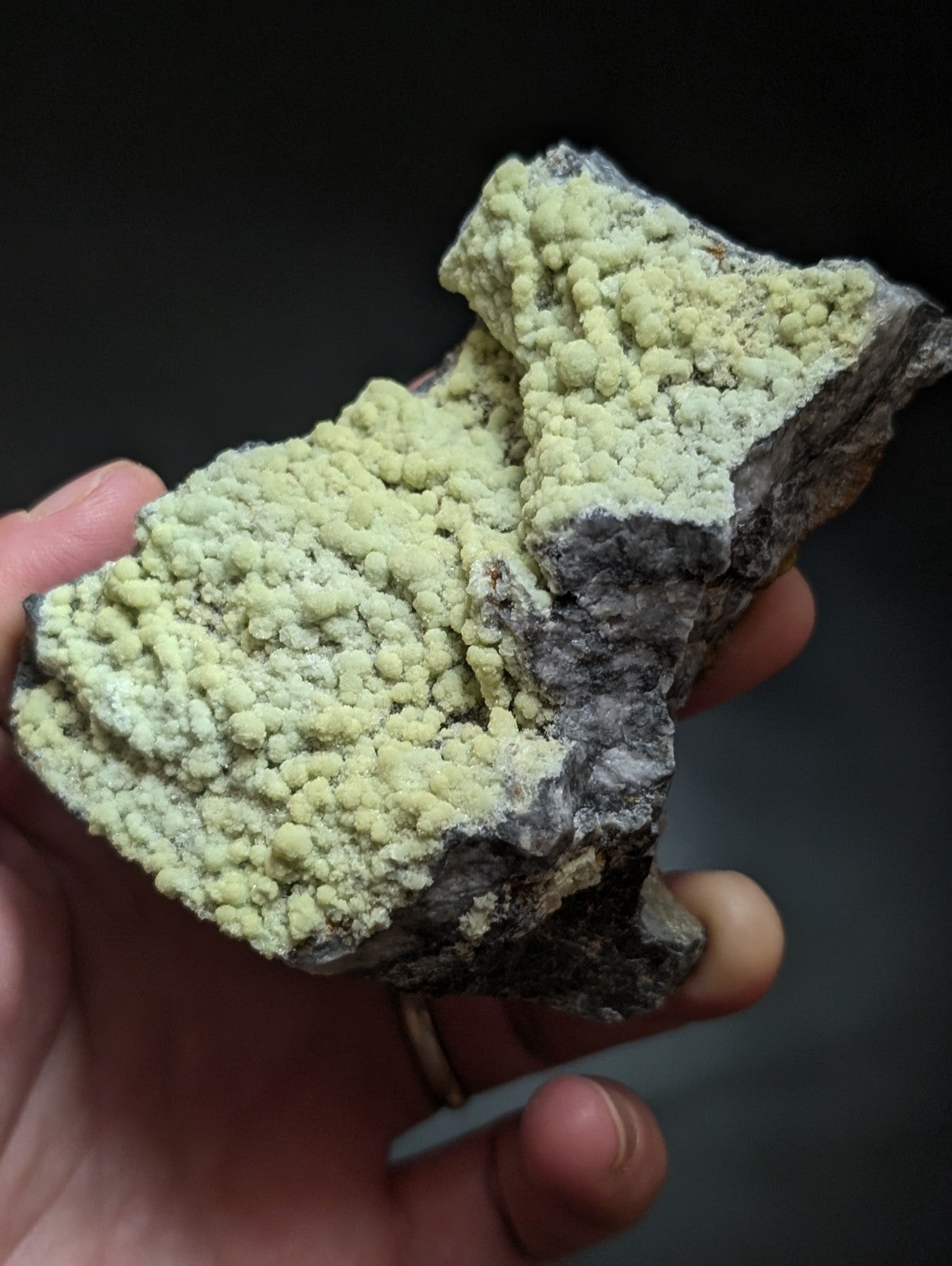 A hand holds a geological specimen featuring a dark, rough-textured rock base covered in clusters of pale green mineral crystals.