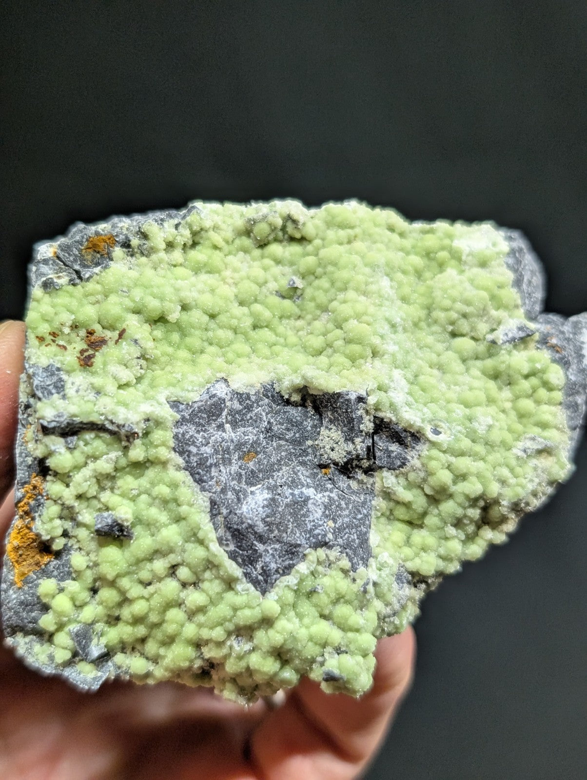 A hand holds a geological specimen featuring vibrant light green, bead-like crystals growing over dark gray rock.