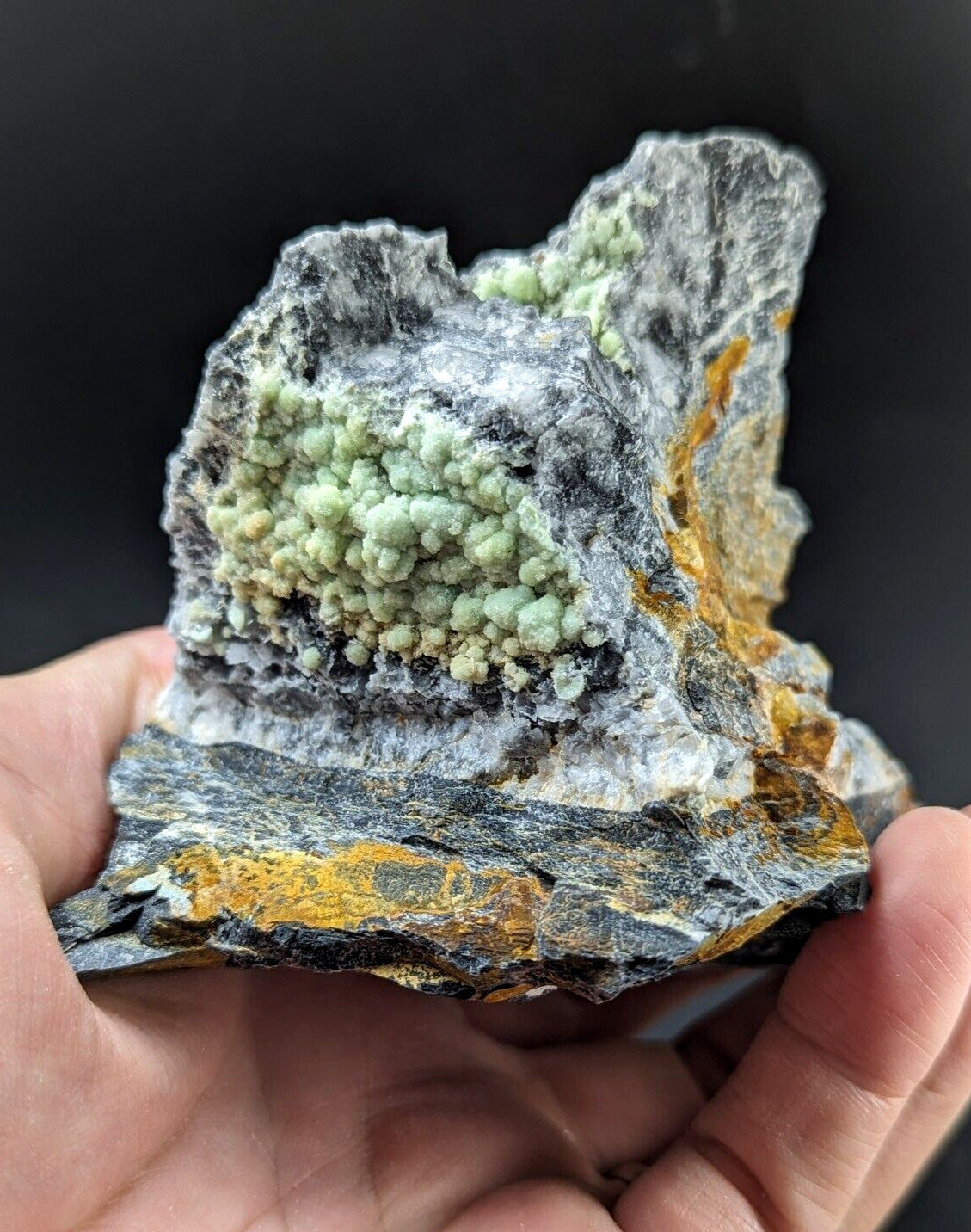 A hand holds a striking geological specimen featuring clusters of pale green, rounded crystals growing from a dark gray and yellowish rock matrix.