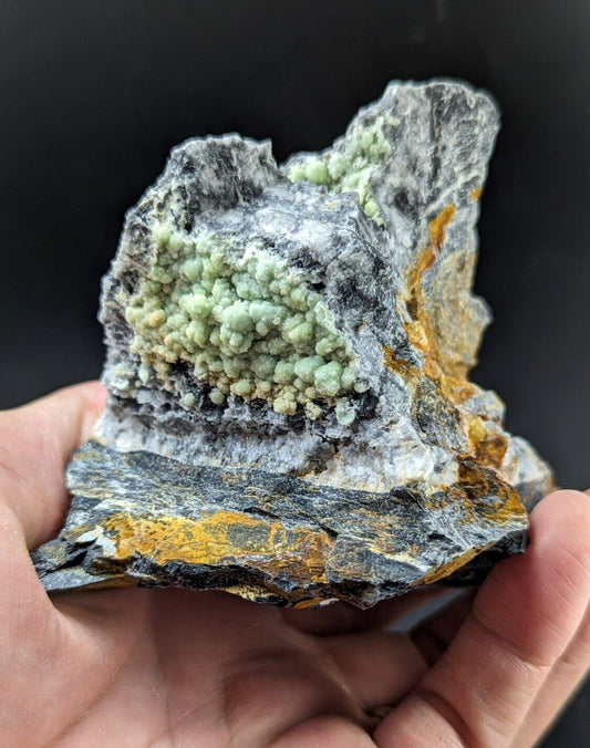 A hand holds a striking geological specimen featuring clusters of pale green, rounded crystals growing from a dark gray and yellowish rock matrix.