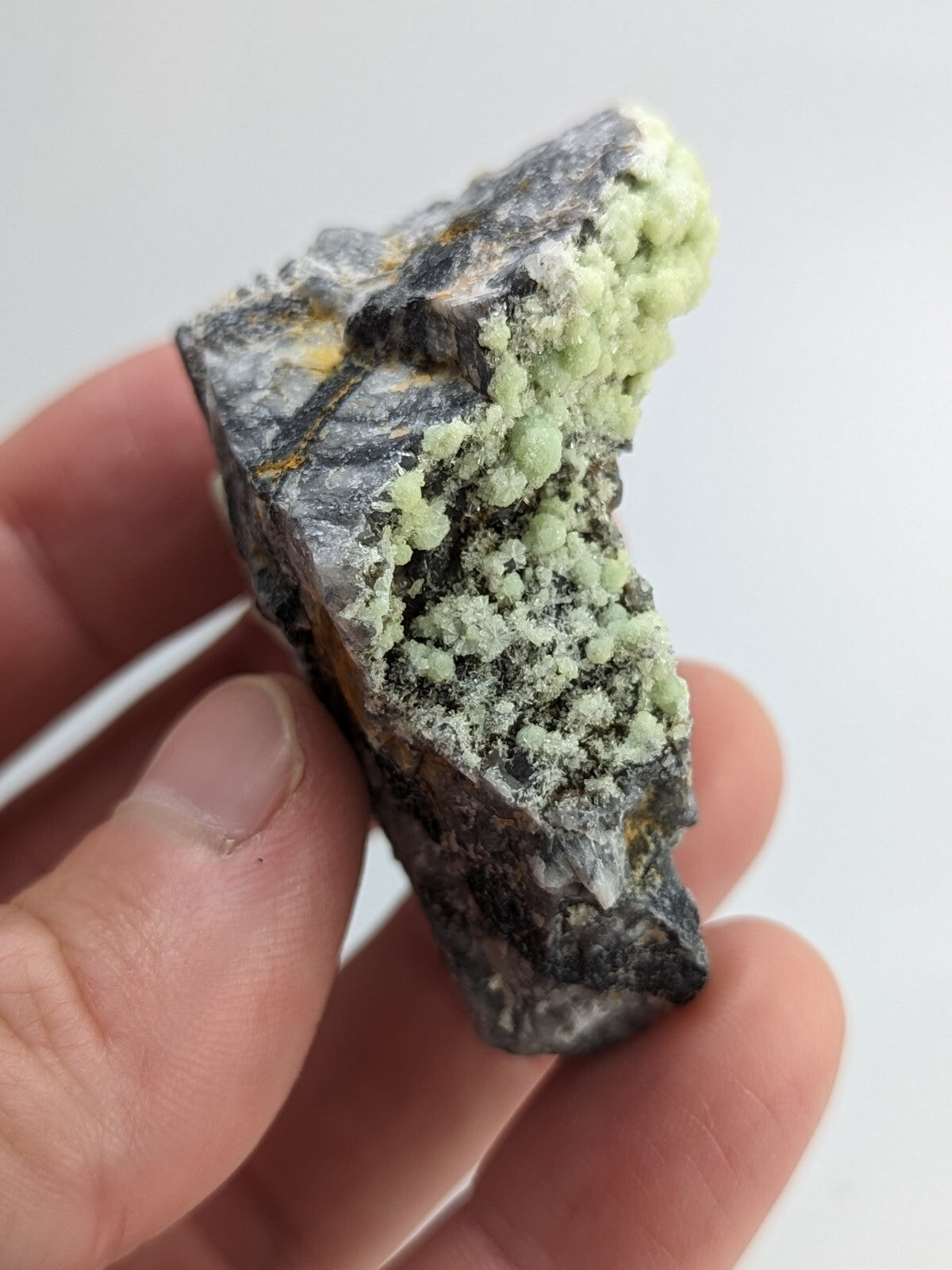 A hand holds a dark gray rock specimen featuring clusters of pale green, crystalline mineral growths.