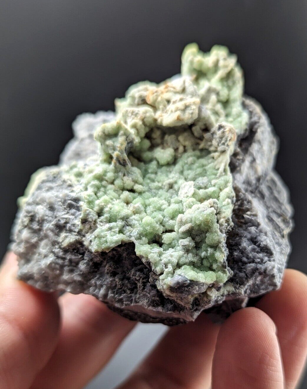 A hand holds a geological specimen featuring vibrant green, textured crystals growing from a dark gray rock matrix.