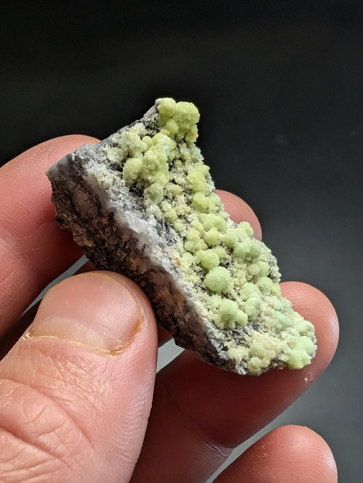A hand holds a dark gray rock specimen featuring clusters of vibrant lime-green mineral crystals.