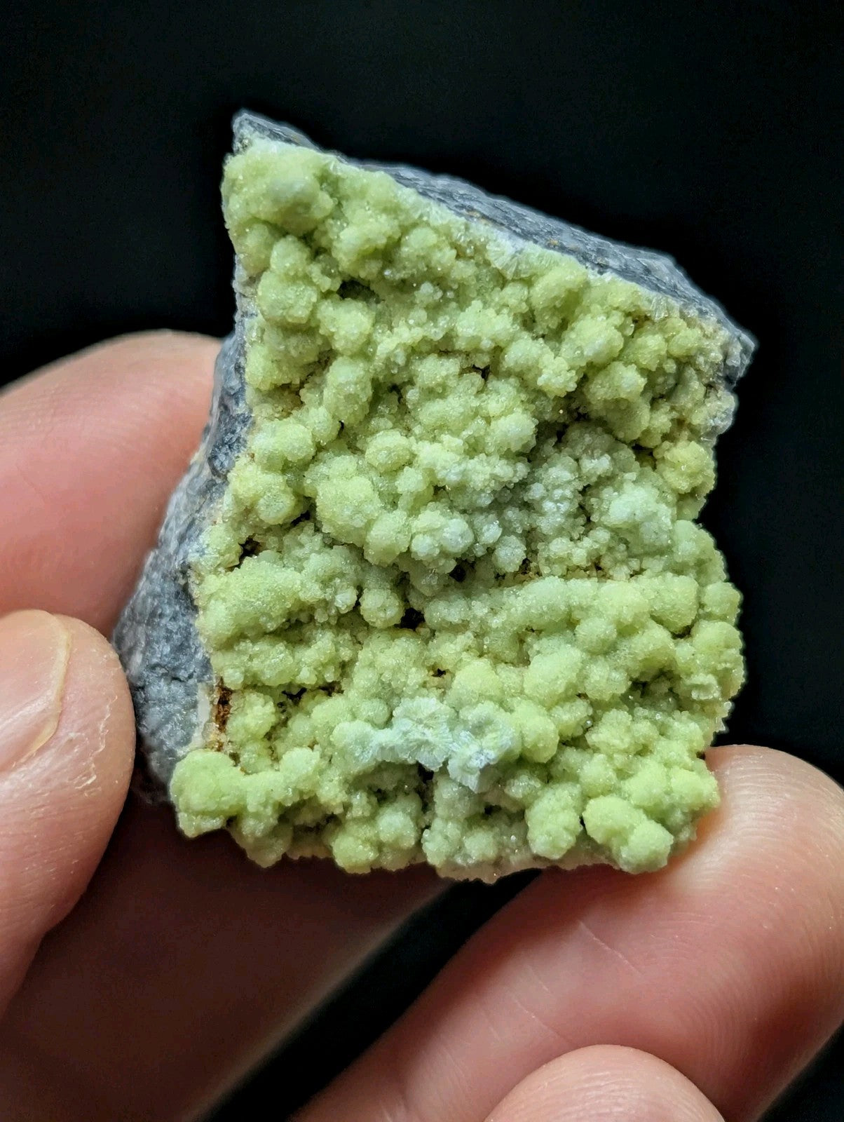 A hand holds a specimen of light green, bubbly mineral crystals growing from a gray rock matrix.