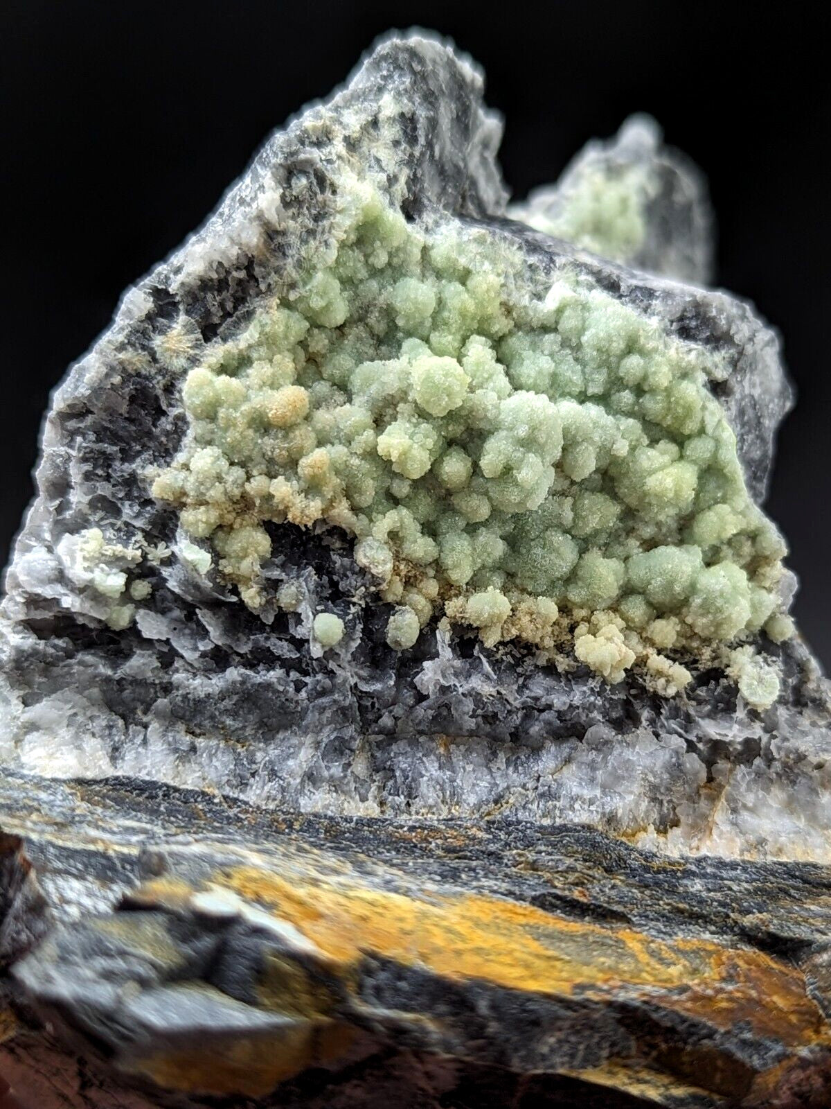 A striking greenish-yellow mineral specimen with a textured, clustered growth pattern set against dark gray rock.