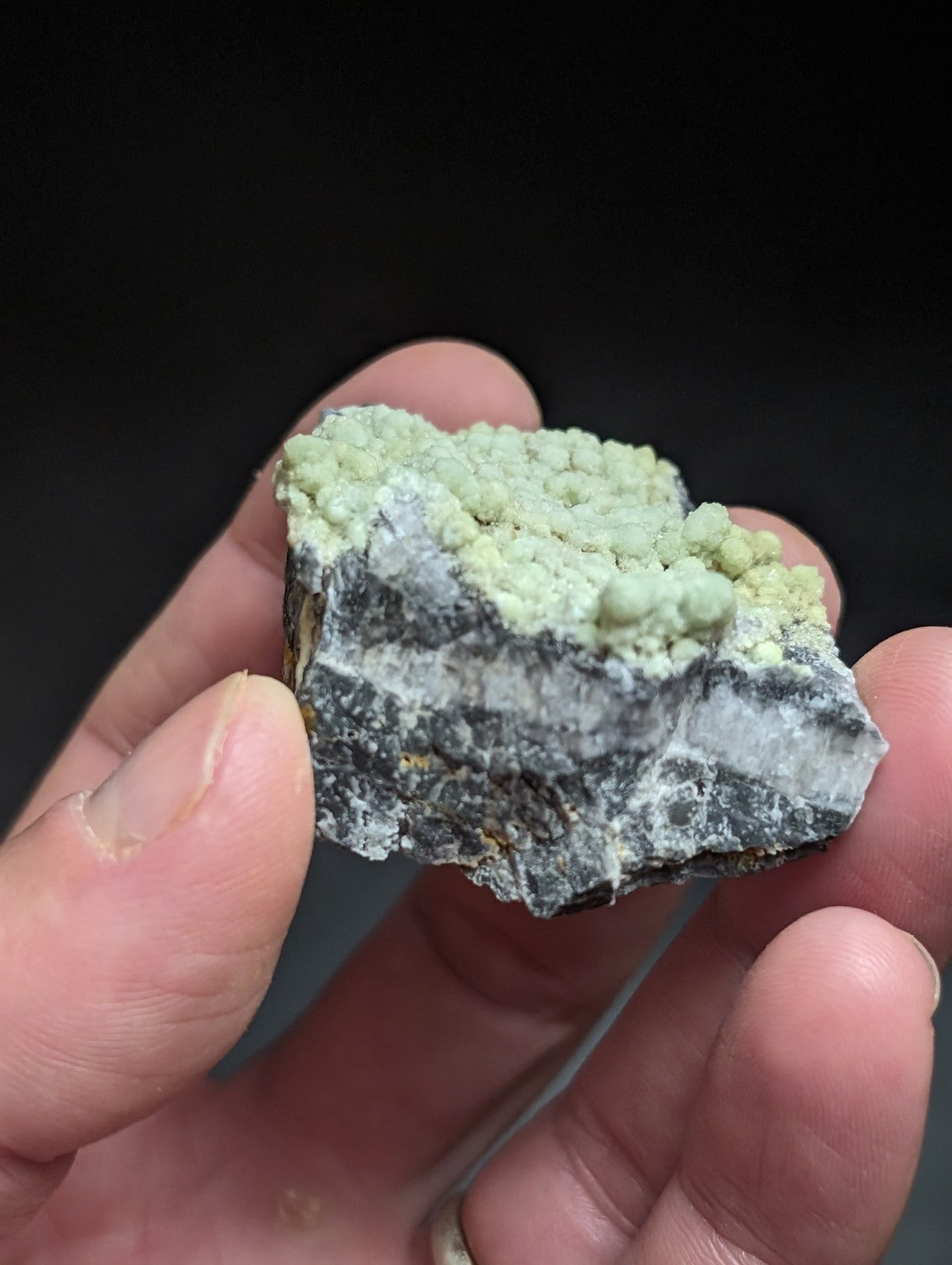 A hand holds a mineral specimen featuring a textured, light green crystalline formation atop a darker gray and white rock base.