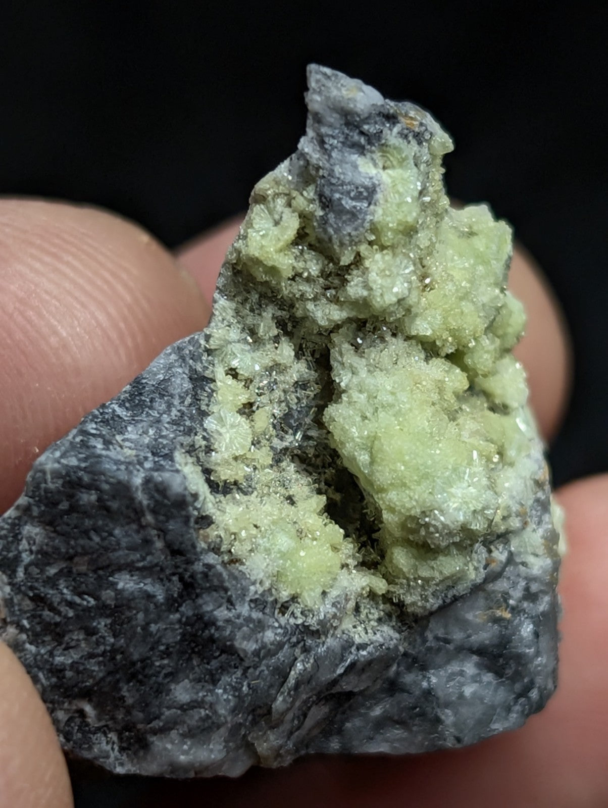 A hand holds a rough, dark gray rock specimen featuring prominent light green crystalline formations.