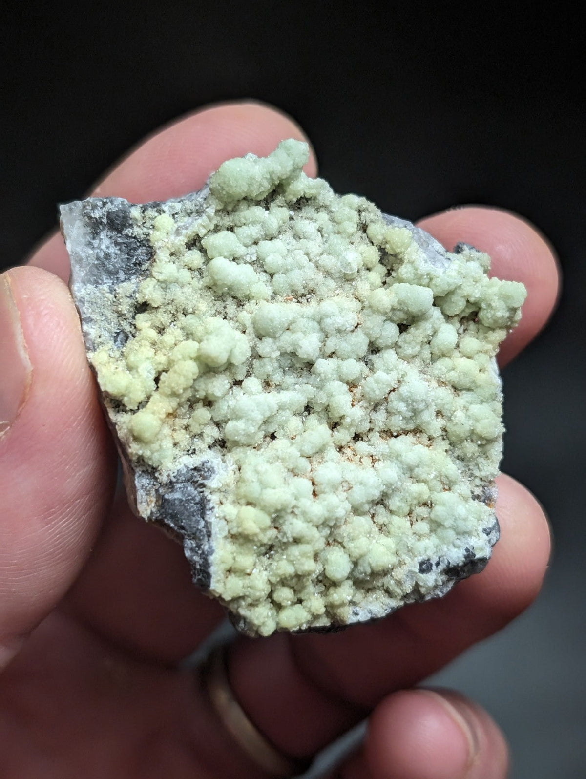 A hand holds a mineral specimen featuring clusters of pale green, rounded crystals growing on a dark gray rock base.