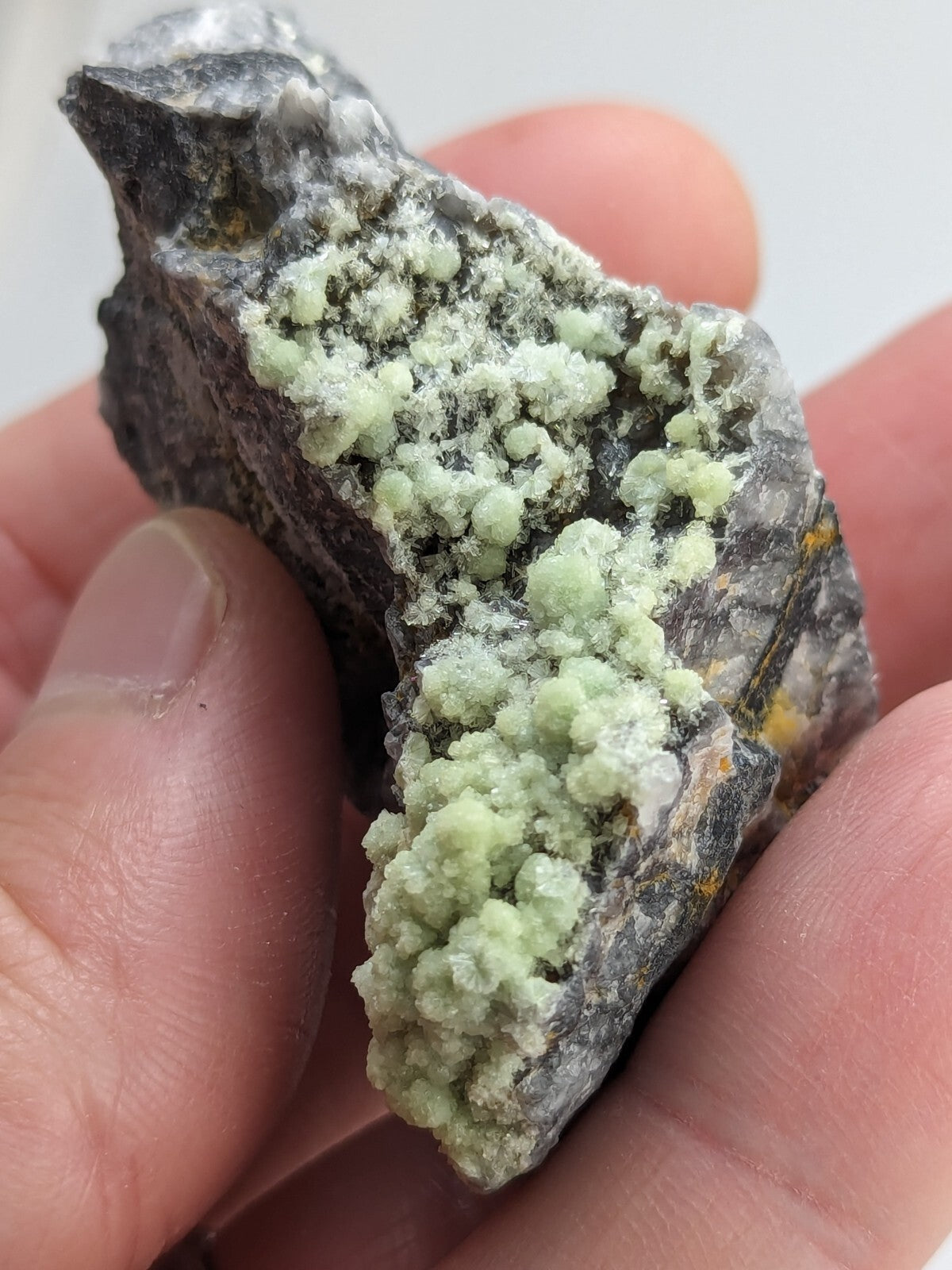 A hand holds a dark gray rock specimen featuring clusters of light green, crystalline mineral formations.