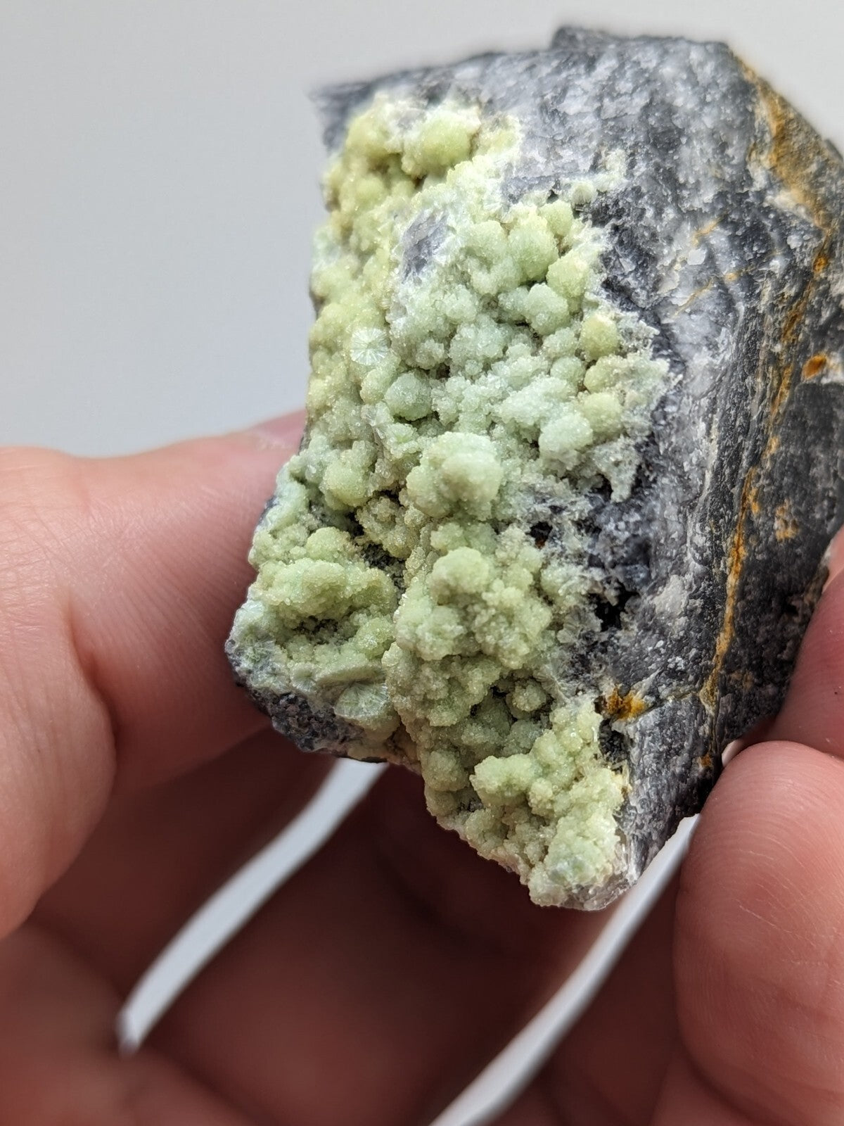 A hand holds a dark gray rock specimen featuring clusters of pale green, crystalline formations.