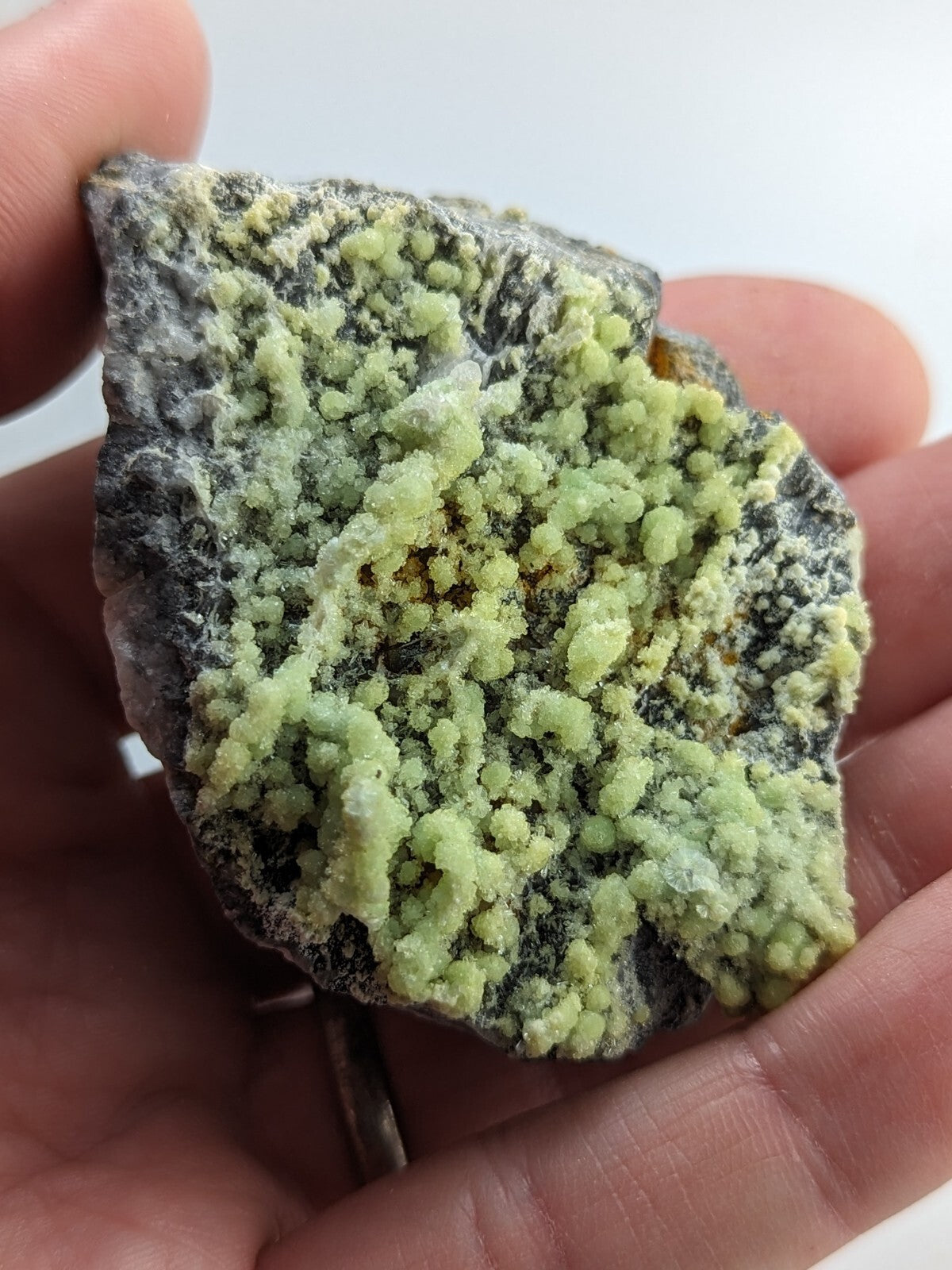A hand holds a dark gray rock specimen featuring vibrant, light green crystalline formations.