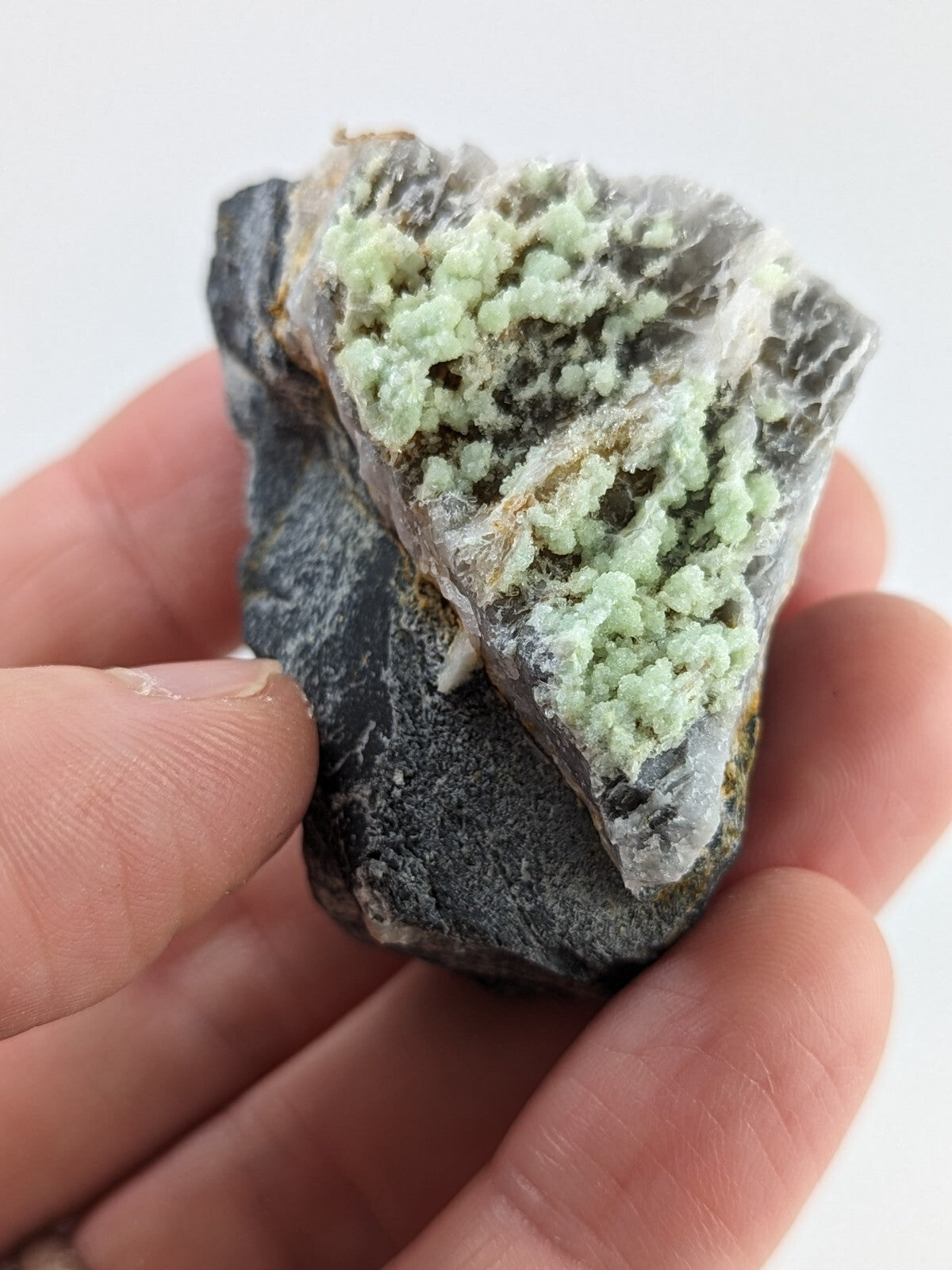 A hand holds a dark gray rock specimen featuring clusters of light green, crystalline mineral growths.