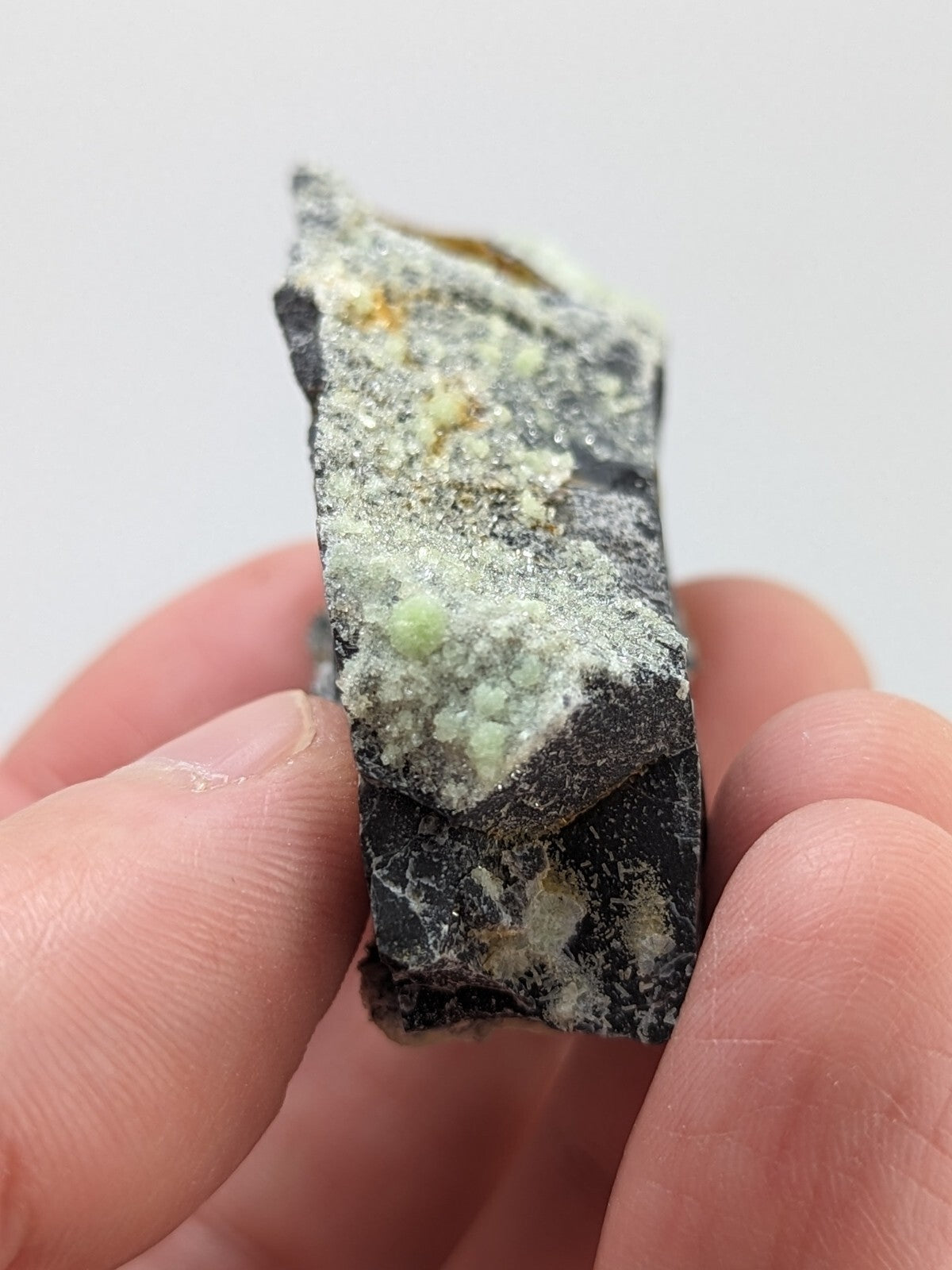 A hand holds a dark, irregularly shaped mineral specimen featuring clusters of light green crystals embedded in its surface.