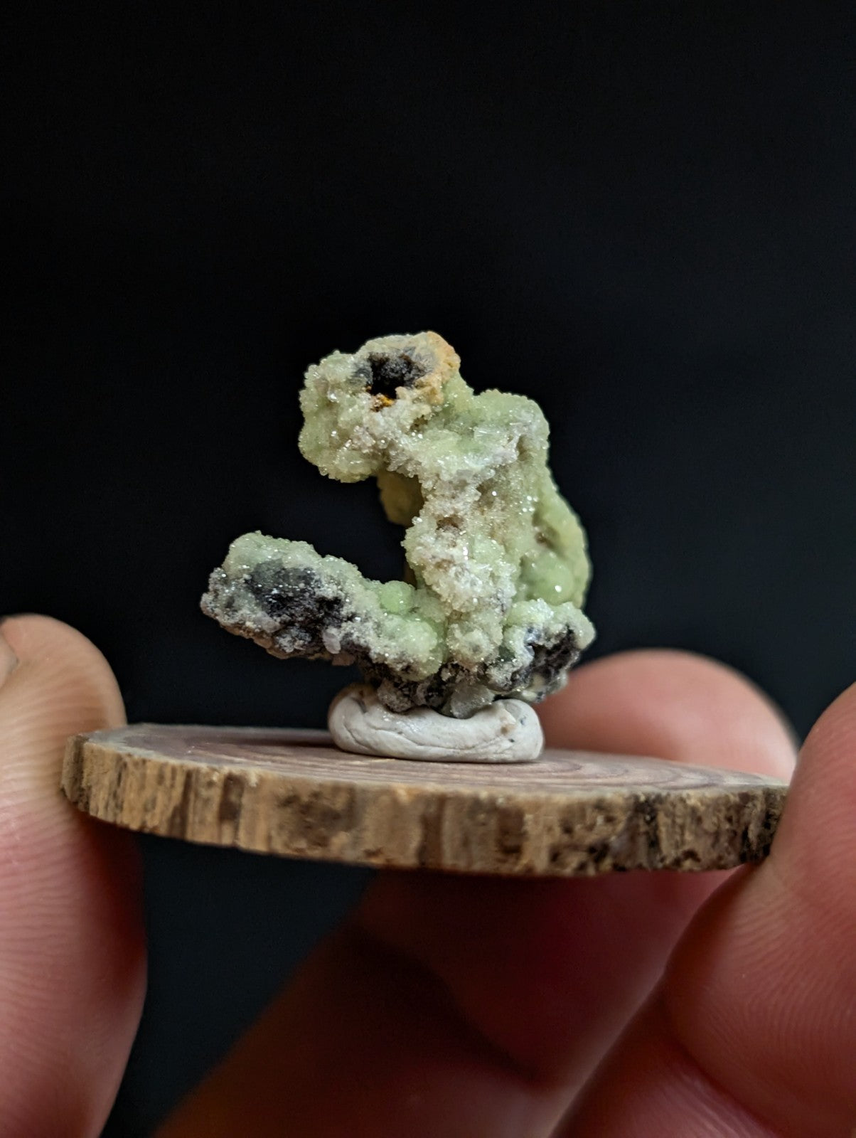 A delicate, pale green mineral specimen with speckles of black and white crystalline formations rests on a rustic wooden slice.