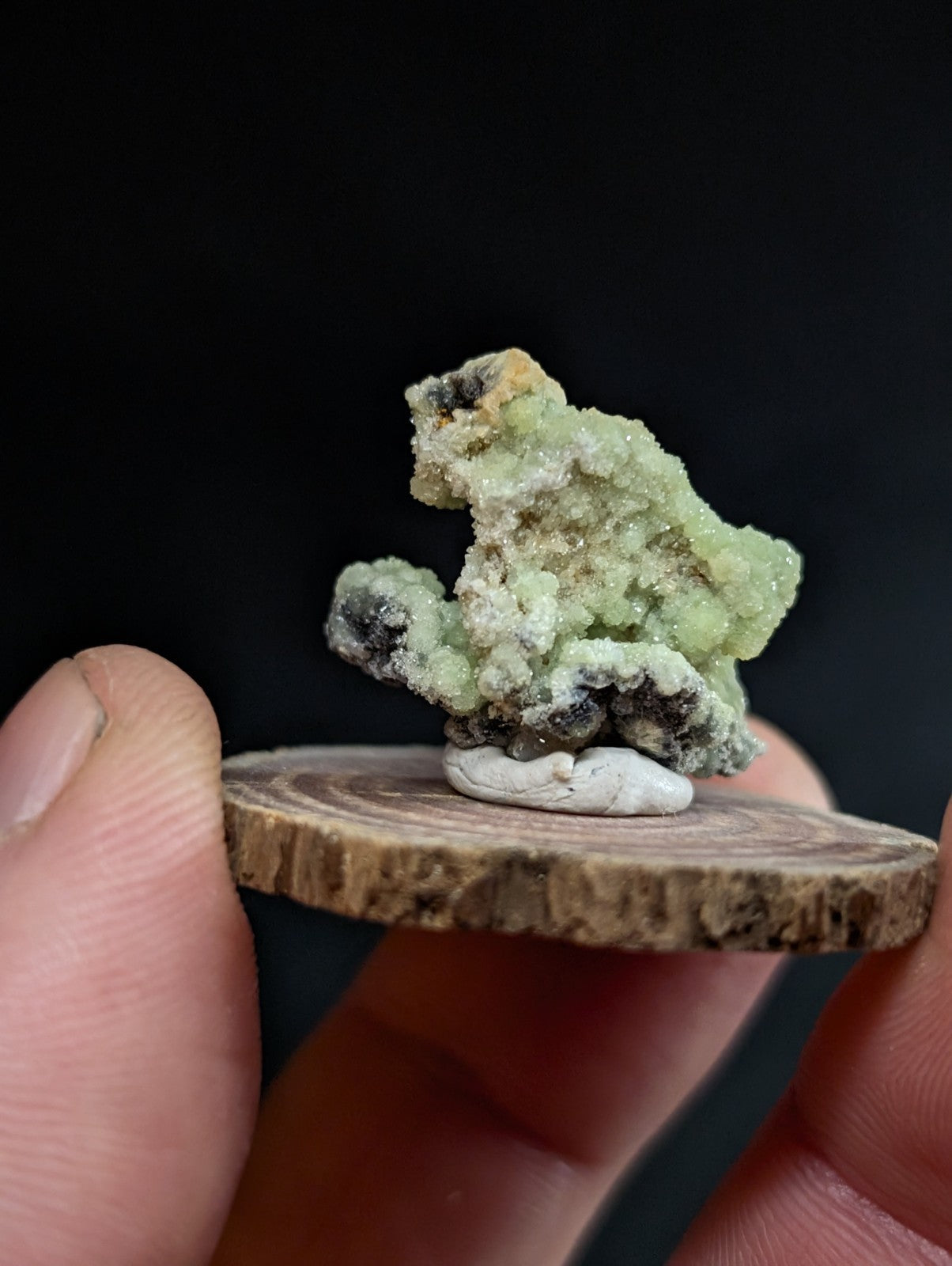 A delicate, pale green mineral specimen with crystalline textures and dark inclusions rests on a small wooden disc.