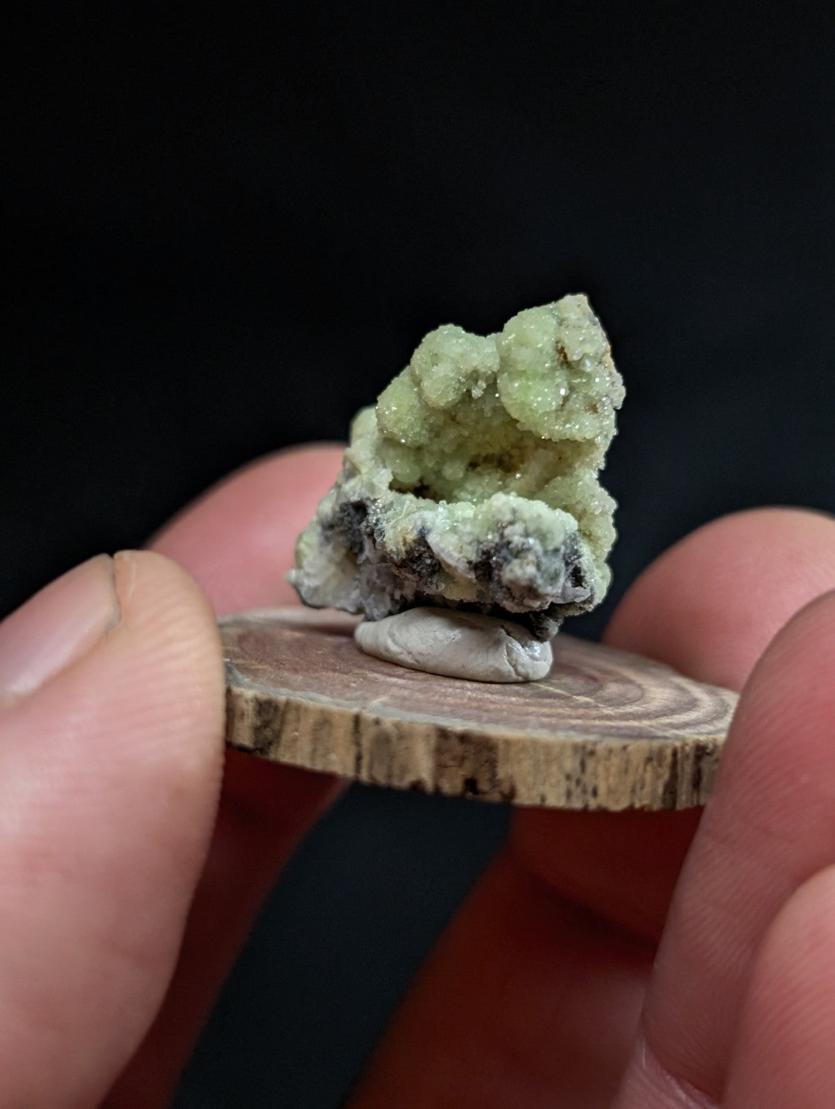 A small, textured green mineral specimen with a crystalline structure and dark gray base, displayed on a circular wooden slice.