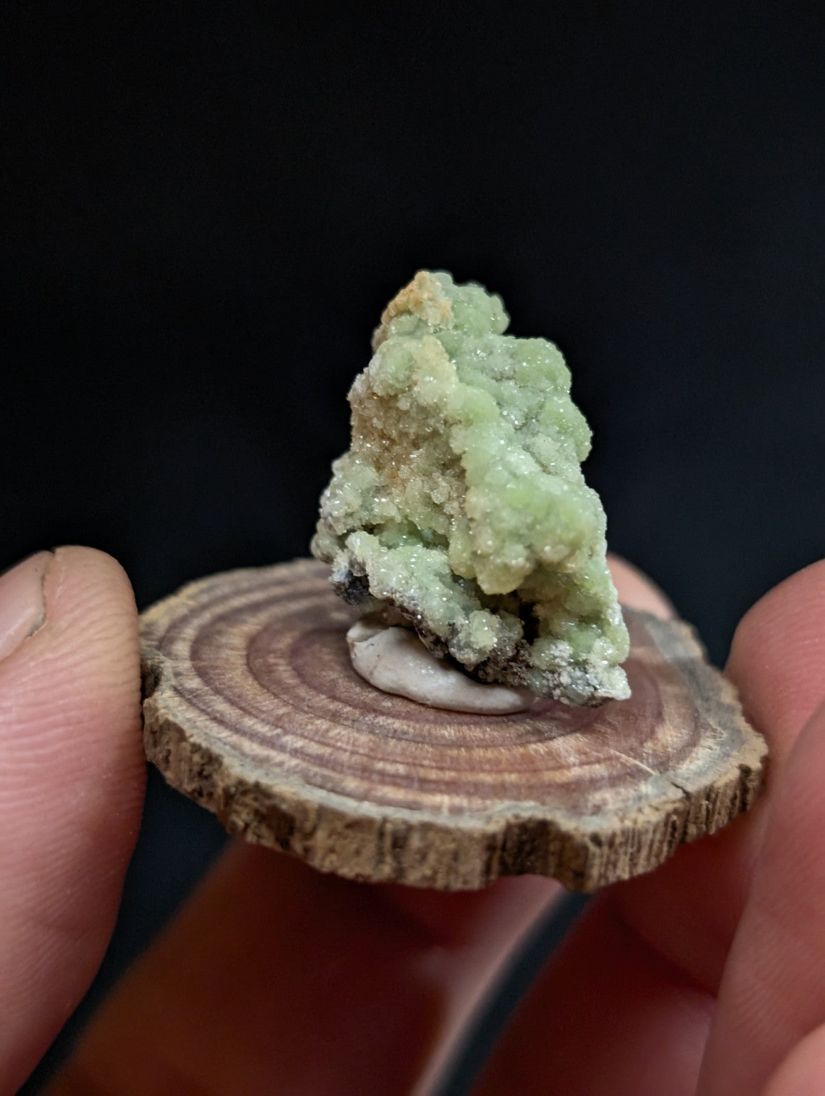 A light green, textured mineral specimen with a crystalline structure rests on a circular wooden slice.