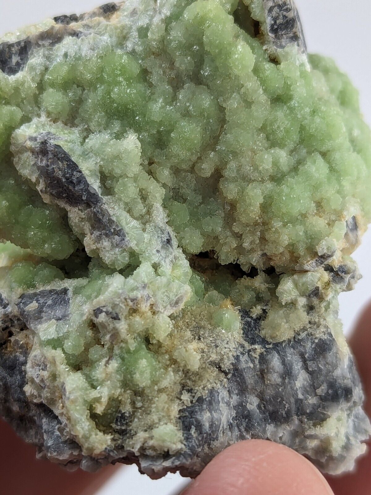 FluorWavellite - Rare! Intermixed With SiO2- Mauldin Mountain Arkansas ooak - Collectibles:Rocks Fossils &
