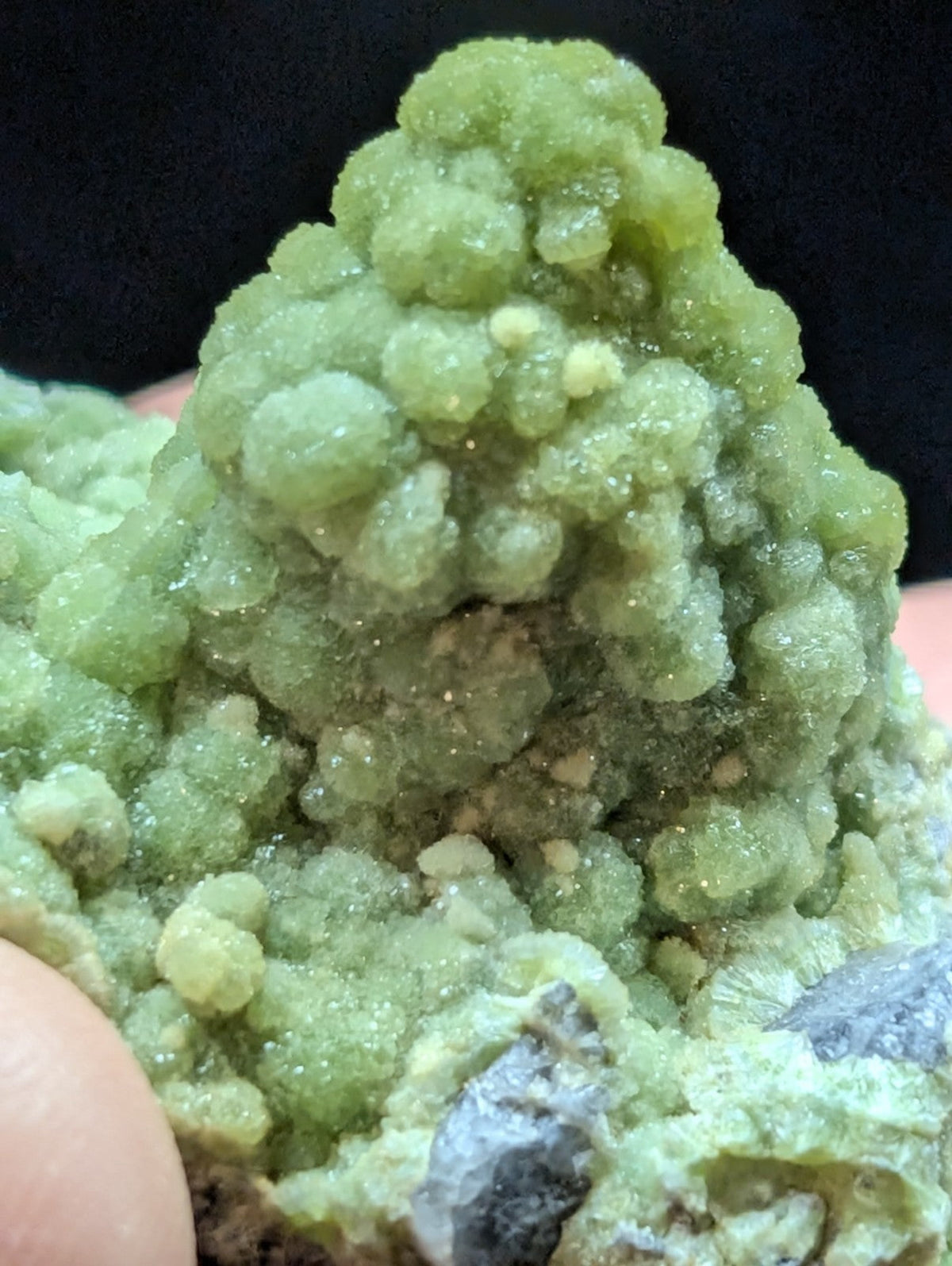 A vibrant green, bumpy mineral specimen with a crystalline texture and small embedded gray rock fragments.