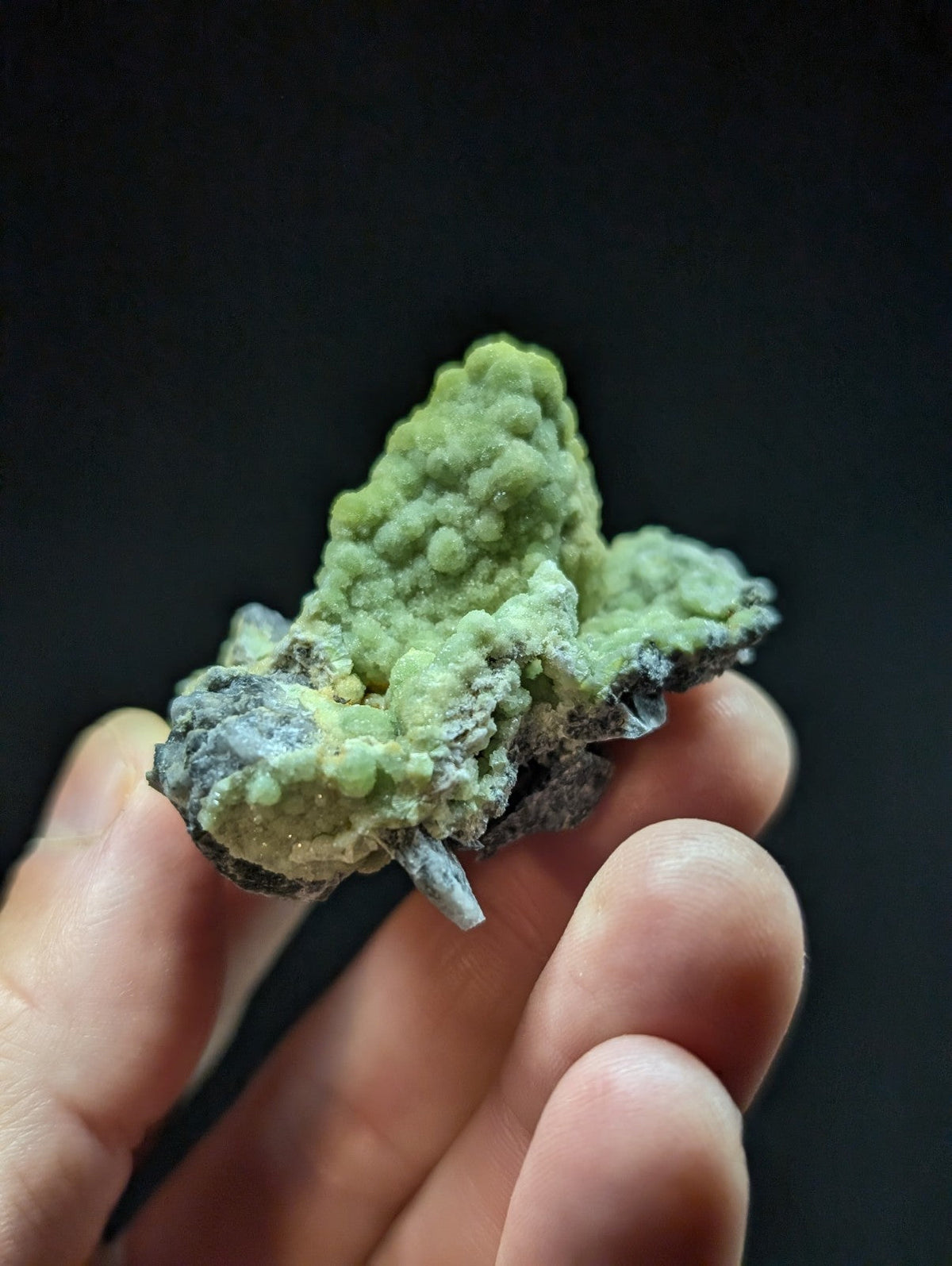 A hand holds a green, textured mineral specimen with rounded crystalline formations and dark gray matrix.