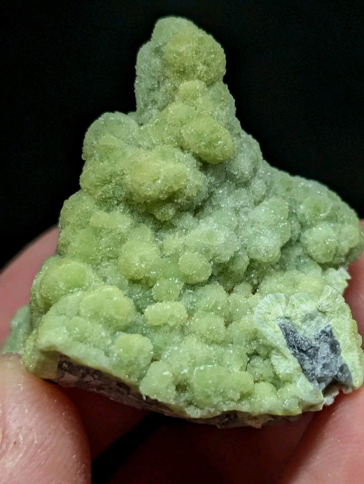 A pale green, textured mineral specimen with a crystalline, bubbly surface and a dark gray inclusion.