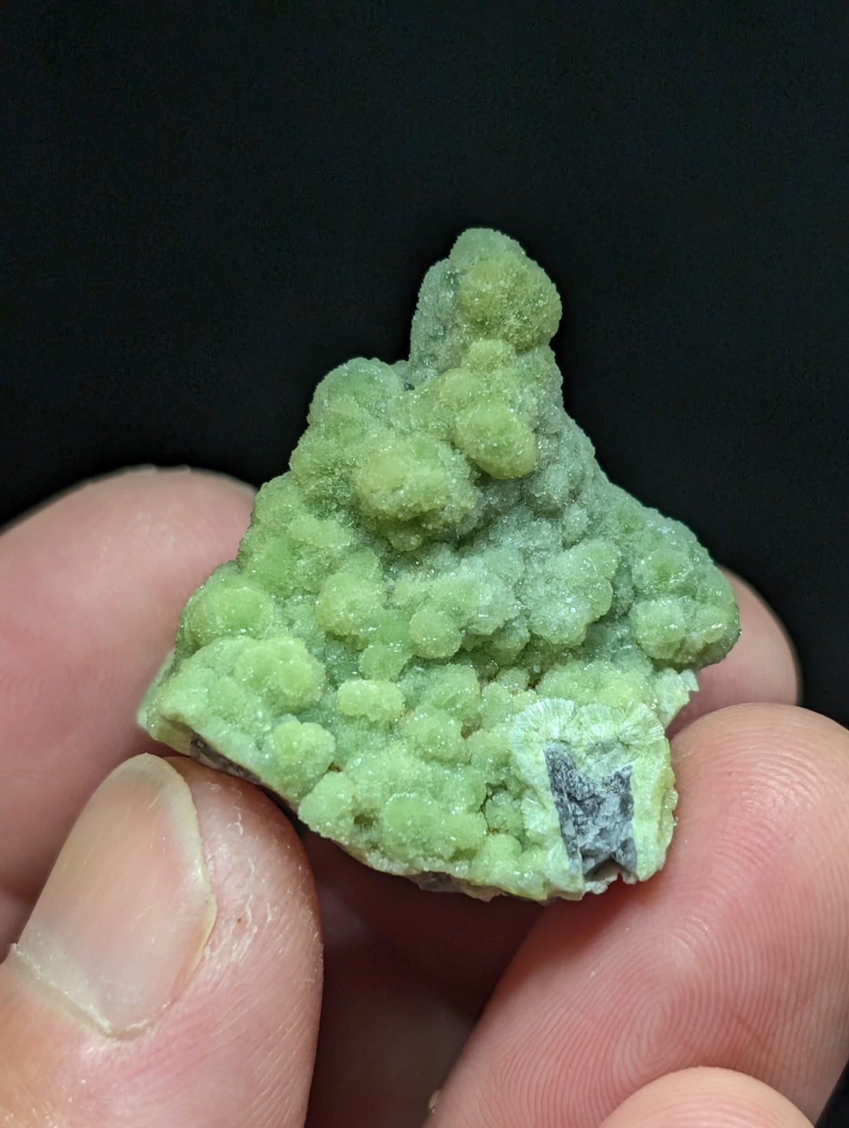 A textured, light green mineral specimen with a bumpy surface and small crystalline formations.