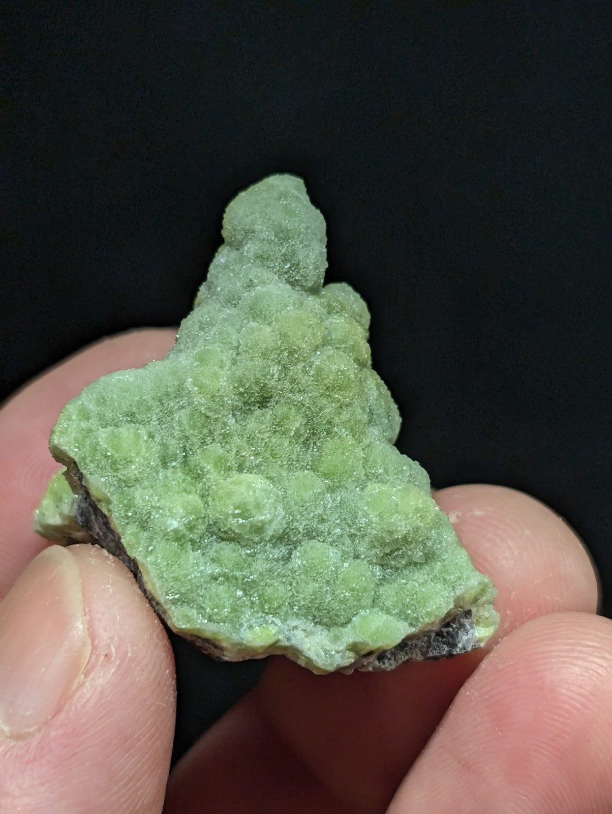 A textured, light green mineral specimen with a bumpy surface and irregular edges.