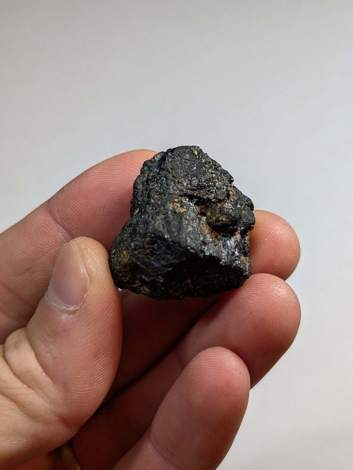 A dark, irregularly shaped meteorite with a rough, textured surface and subtle golden-brown mineral inclusions.