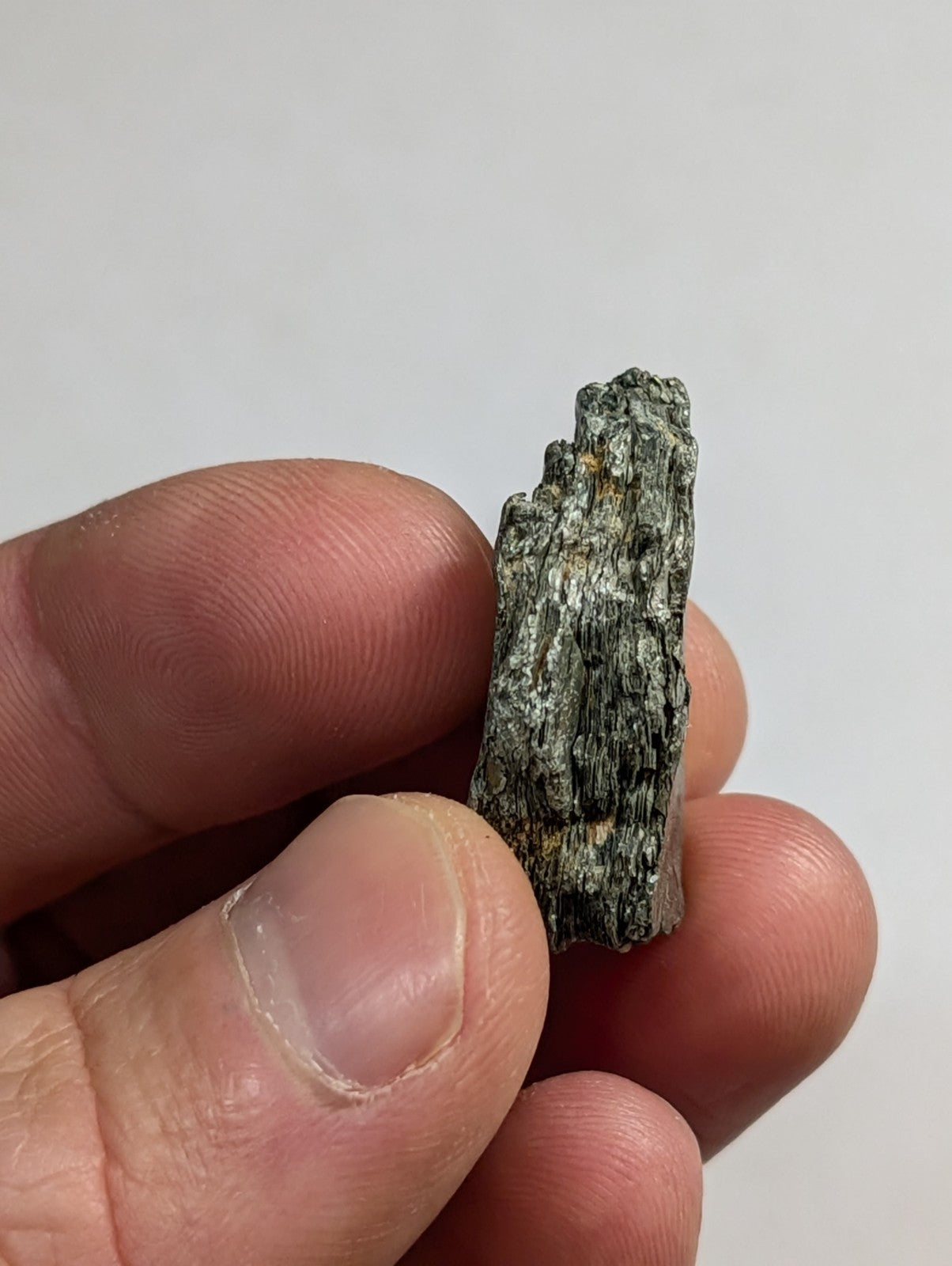 A rough, dark gray mineral specimen with a textured surface and irregular edges.