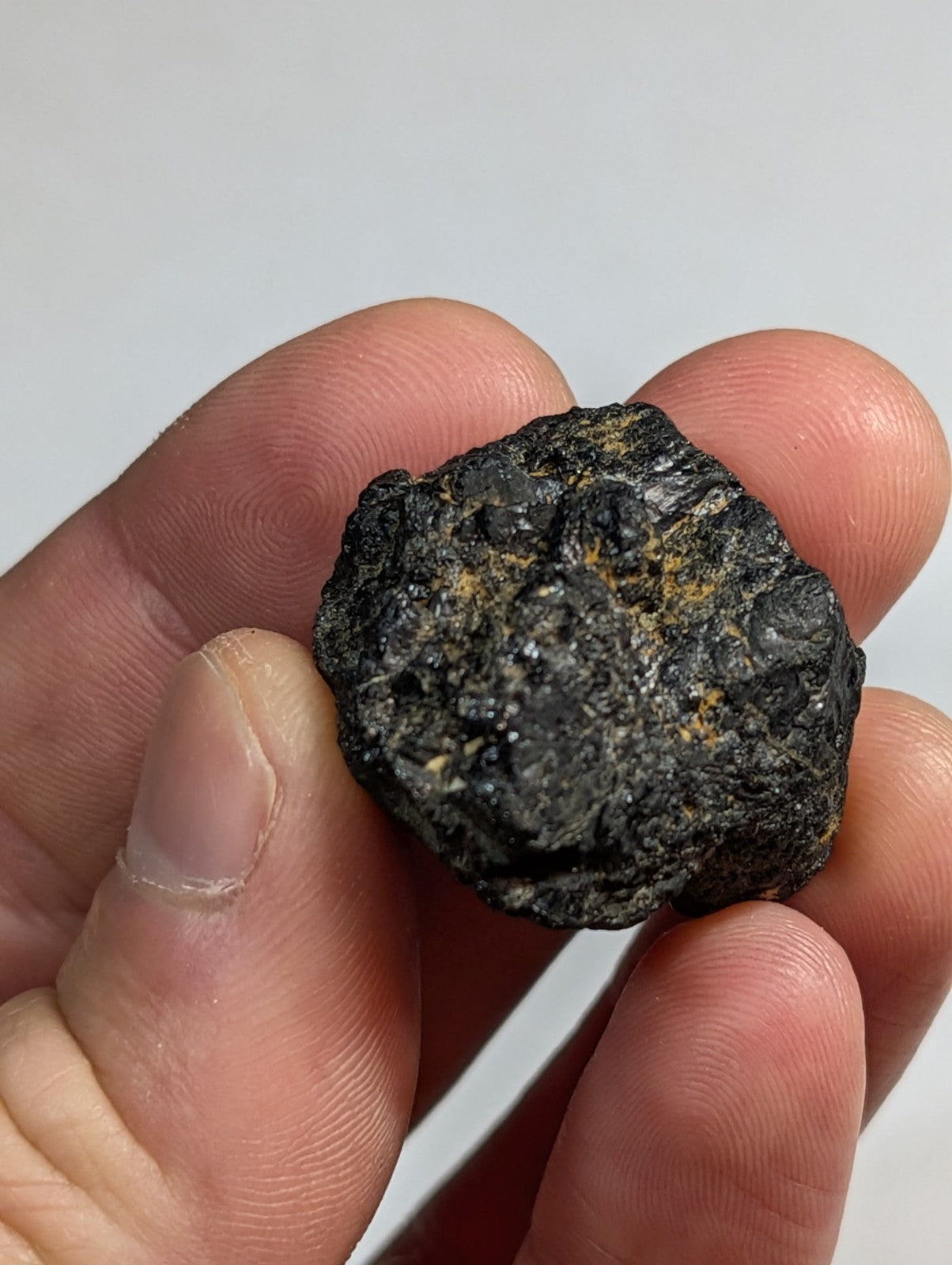 A dark, irregularly shaped meteorite with a rough, textured surface and subtle golden-yellow mineral inclusions.