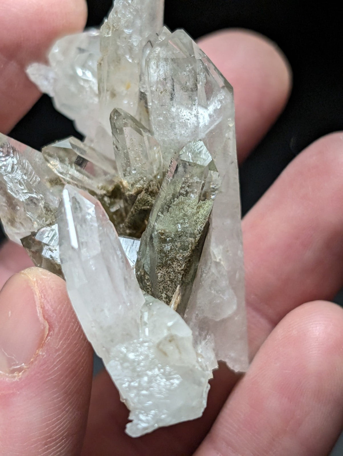 A cluster of clear, translucent quartz crystals with some exhibiting a metallic sheen and others showing greenish mineral inclusions.