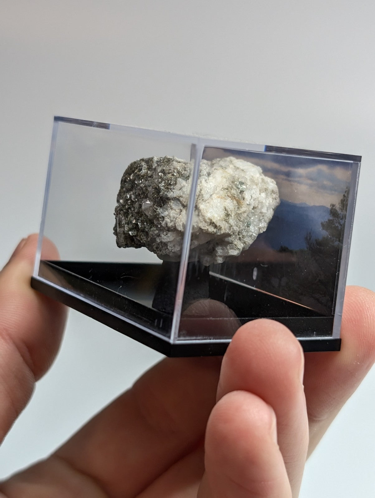 A polished, dark gray and white mineral specimen displayed in a clear acrylic display case with black base.