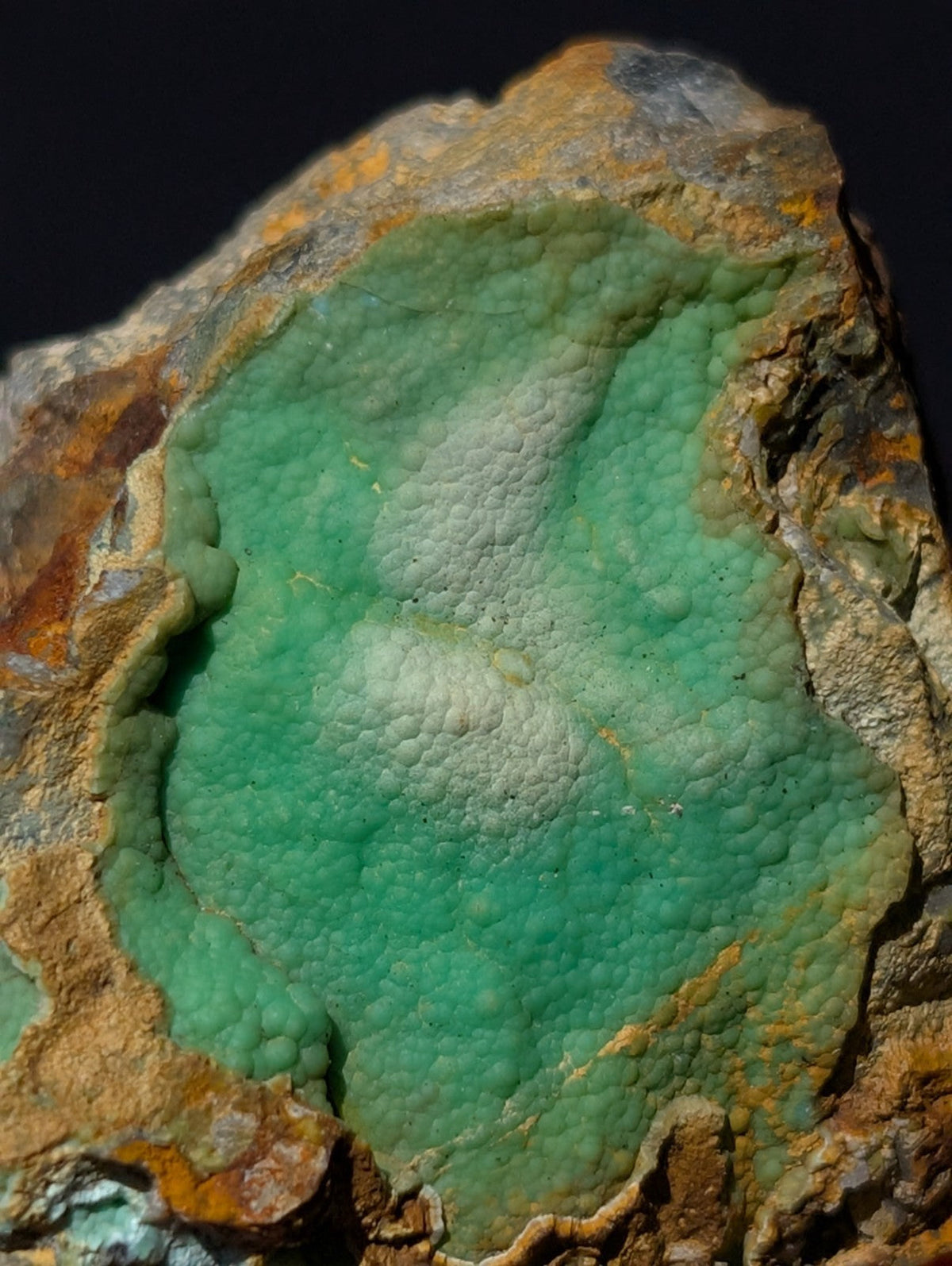 A vibrant green, textured mineral specimen with a bumpy surface embedded in a rugged, earthy matrix of brown and orange hues.