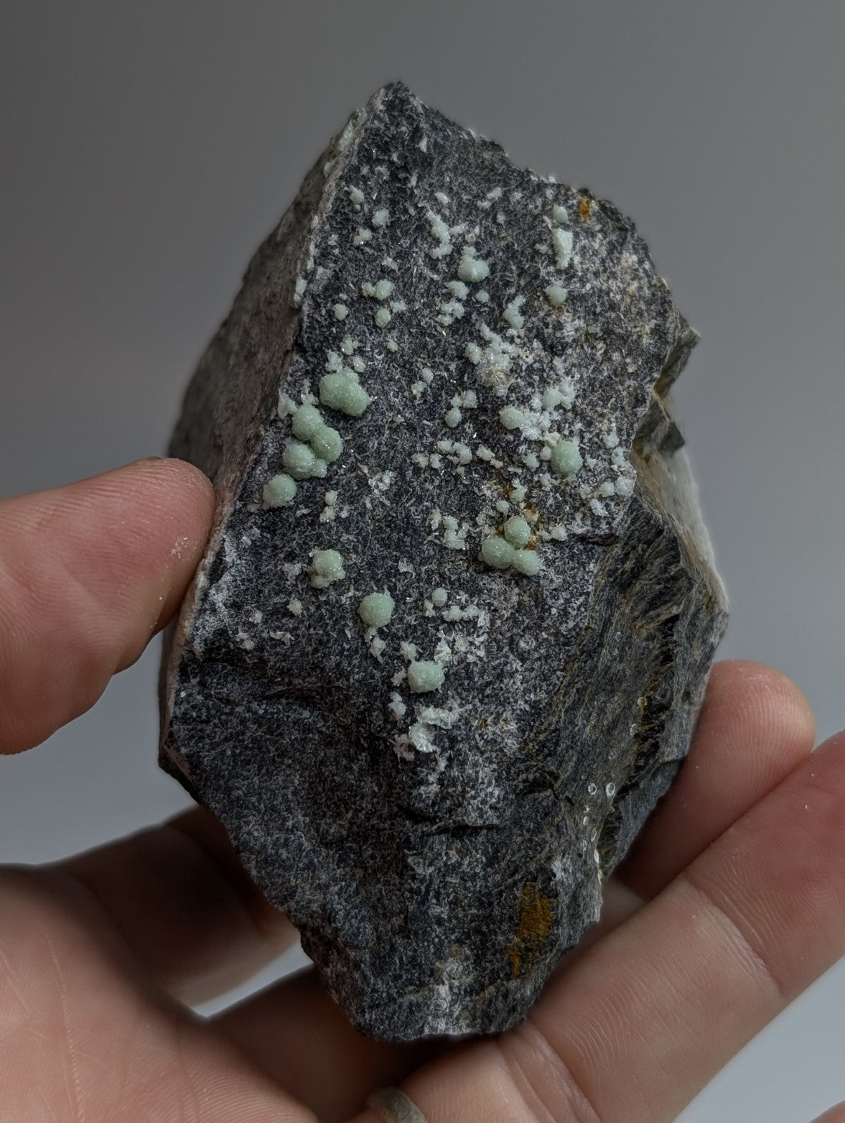 A dark gray rock specimen featuring clusters of light green, spherical mineral formations.