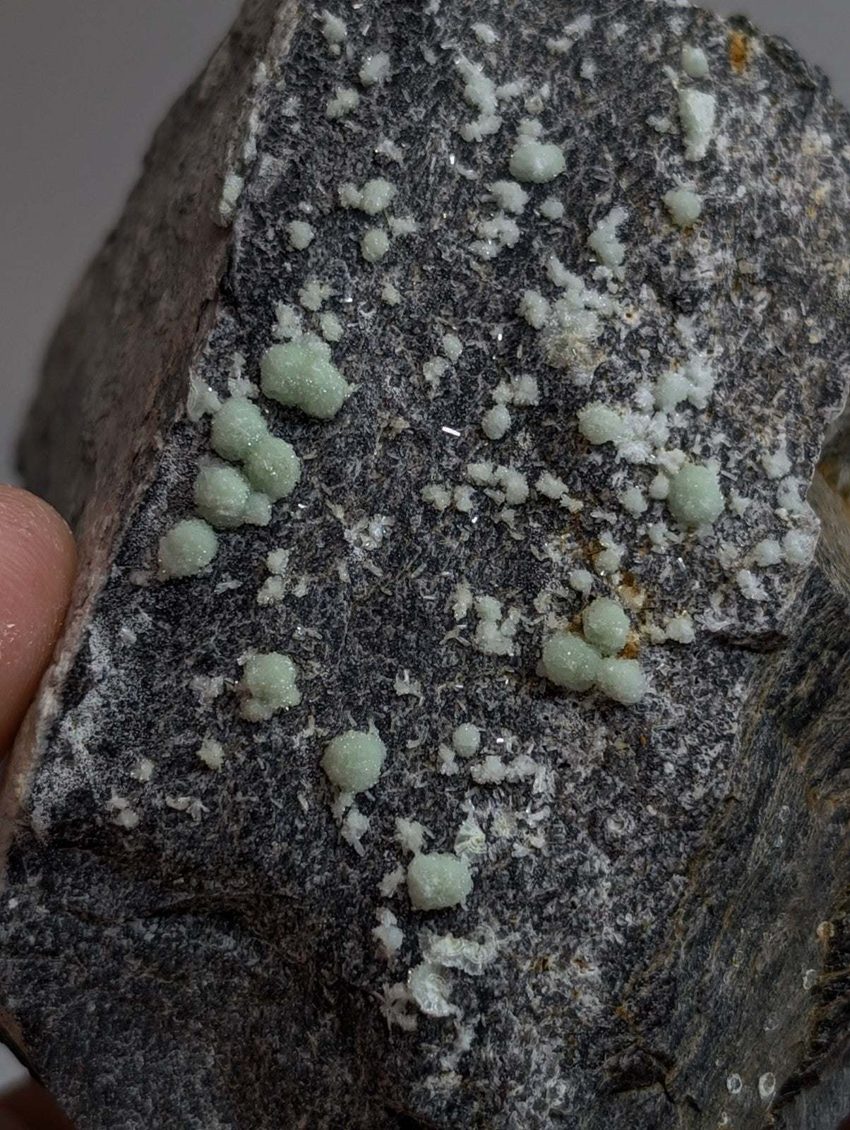A dark gray rock specimen featuring clusters of pale green, translucent mineral crystals.