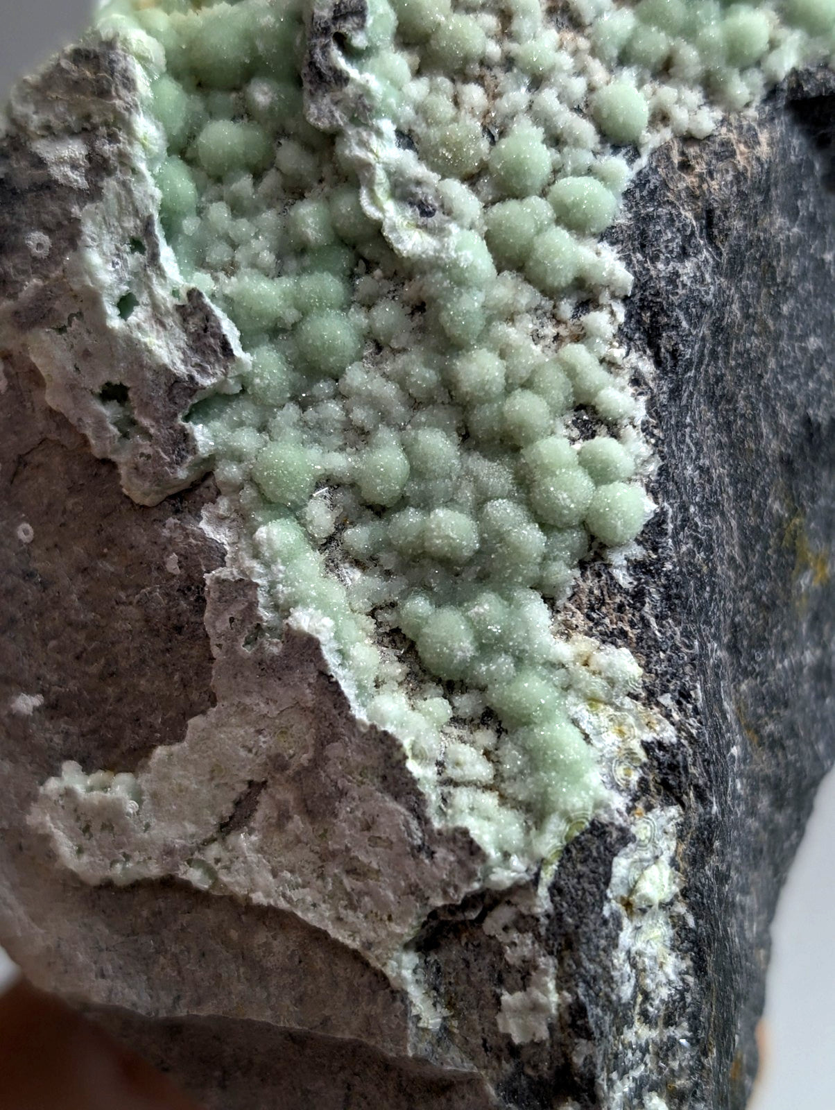 A cluster of light green, bead-like crystals growing on a dark gray rock matrix.