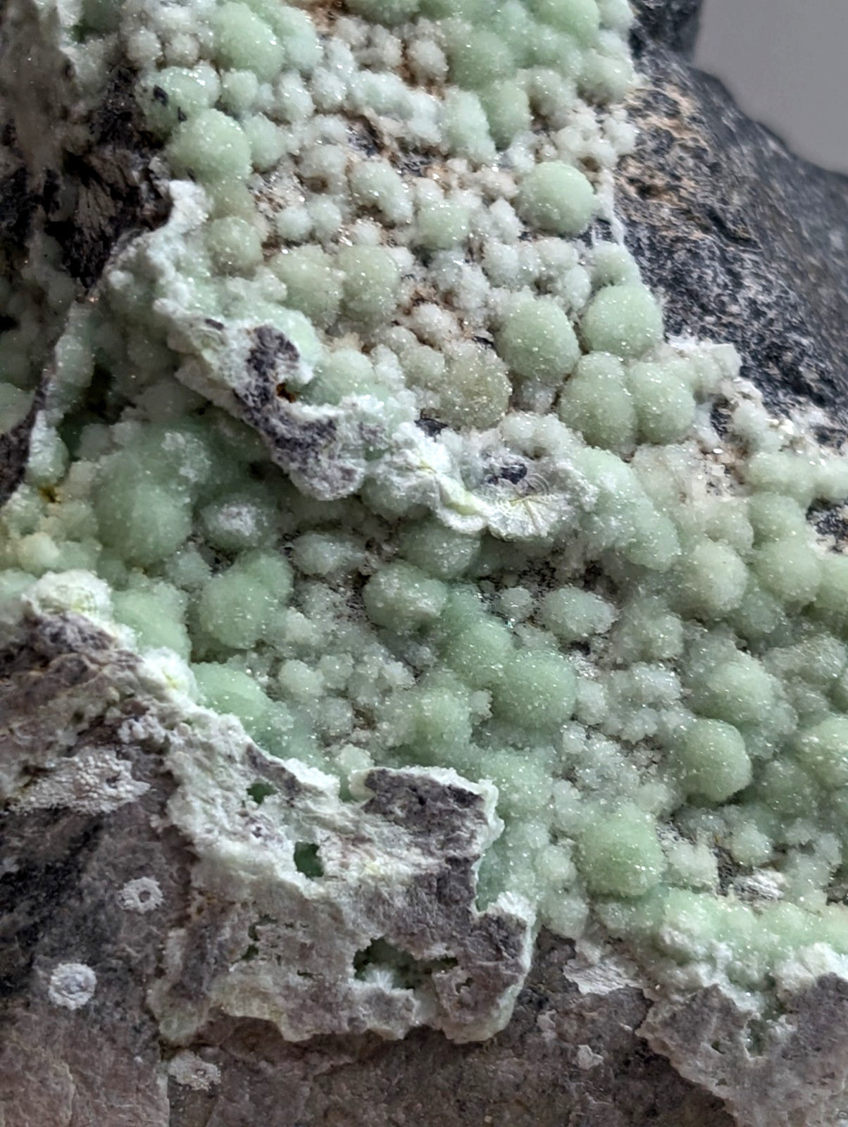 A cluster of pale green, spherical mineral crystals growing densely on a dark gray rock surface.