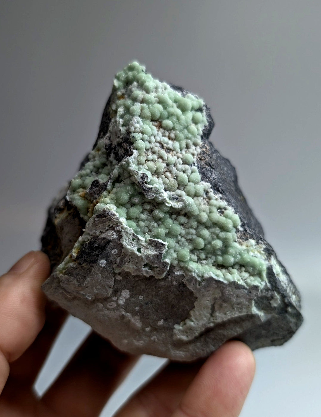 A hand holds a dark gray rock specimen featuring clusters of light green, bumpy mineral formations.