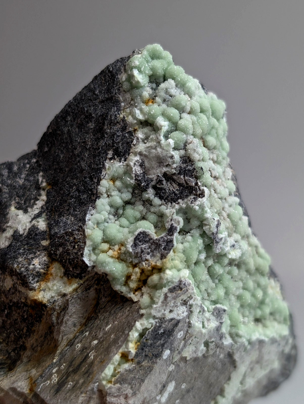 A striking mineral specimen featuring a dense cluster of light green, bead-like crystals growing from a dark gray rock matrix.